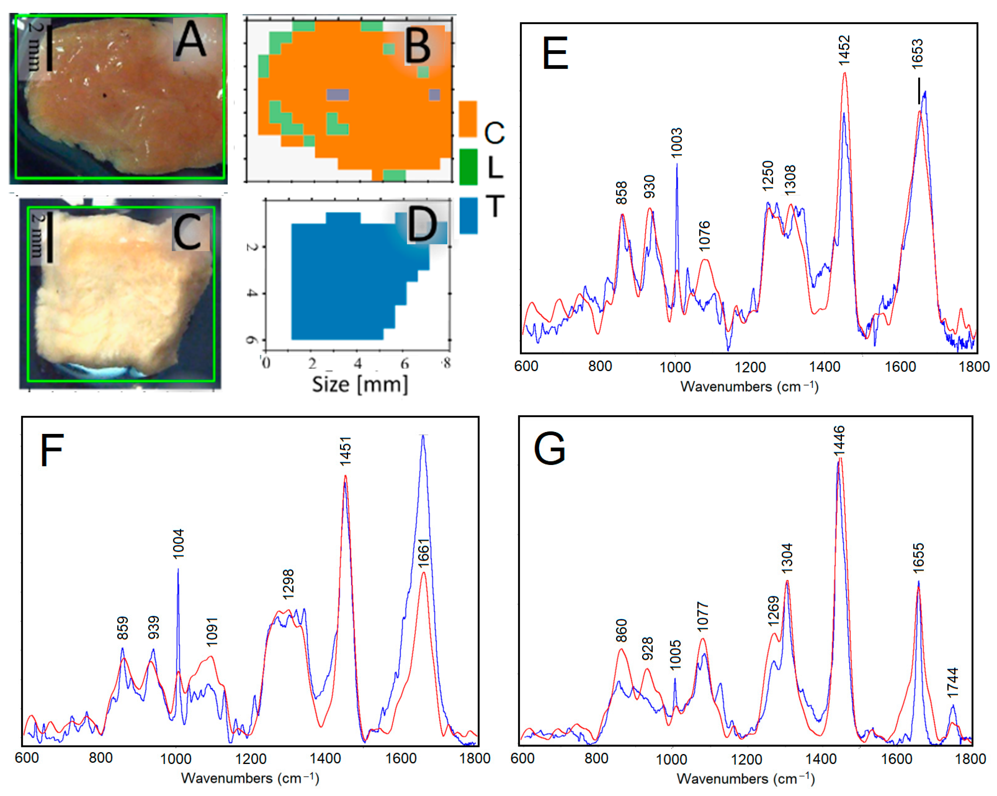 Applsci 14 04726 g002