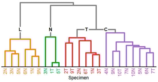 Applsci 14 04726 g003