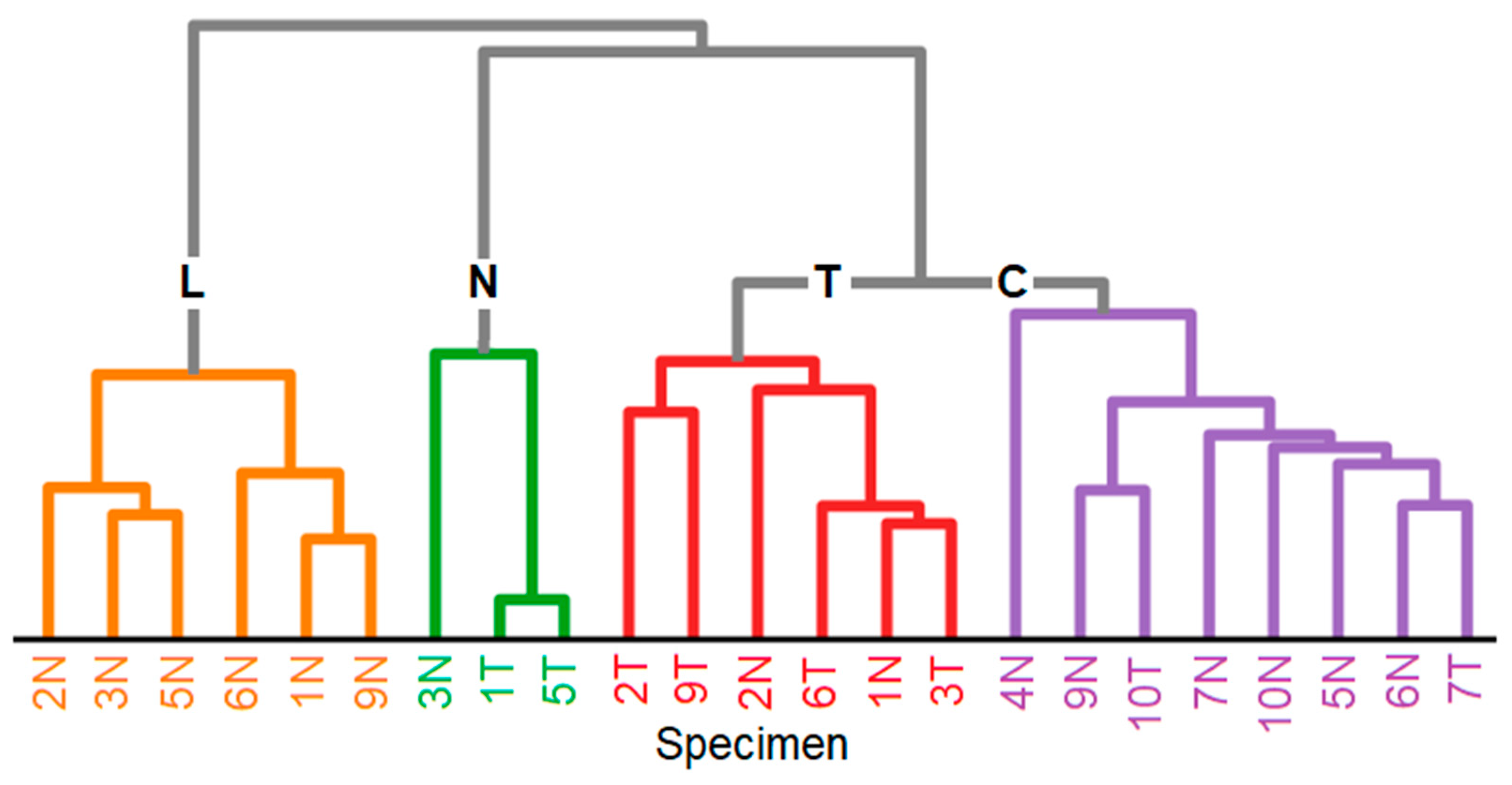 Applsci 14 04726 g003