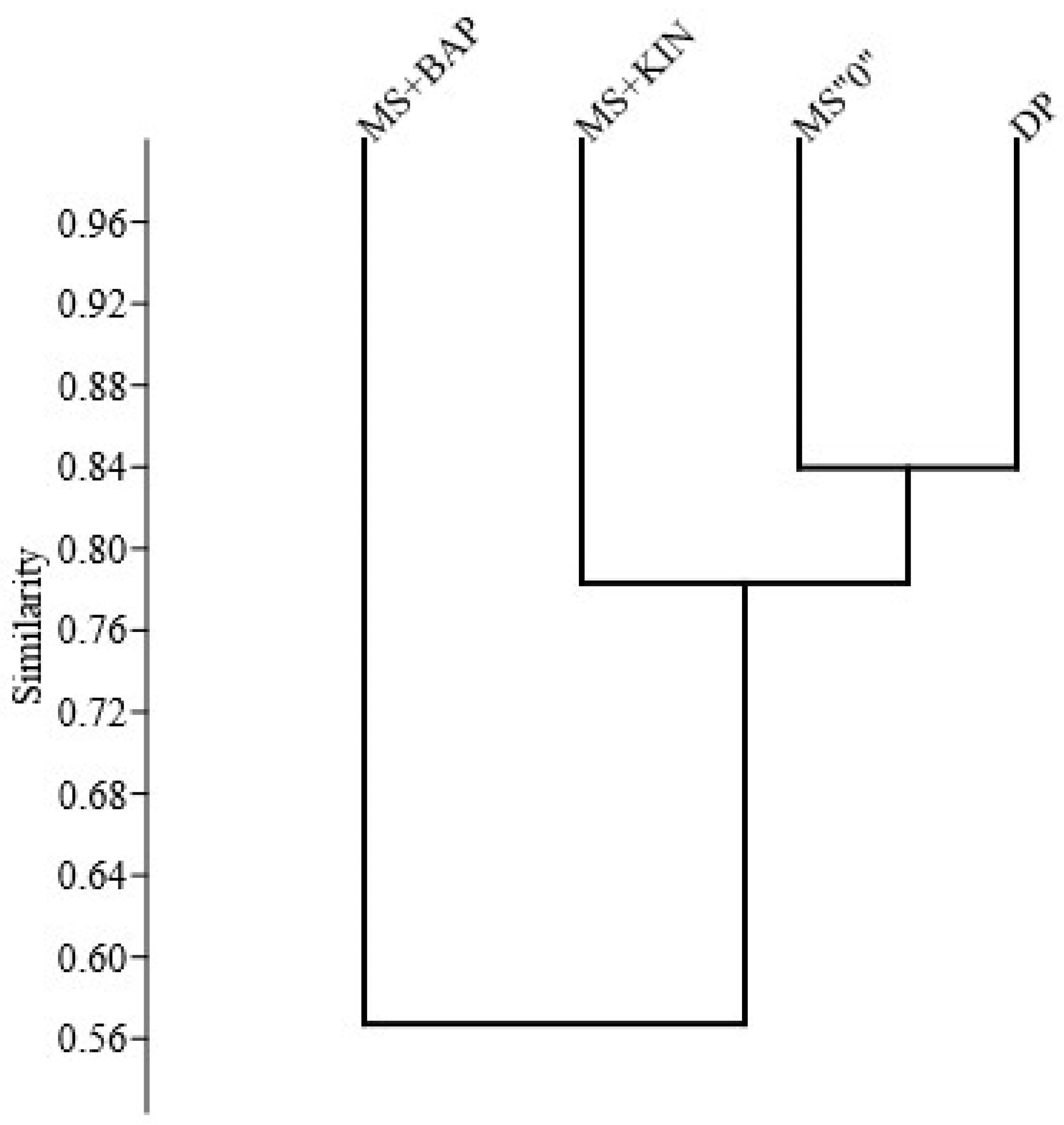 Applsci 14 04791 g004