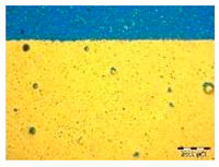 Applsci 14 04799 i002