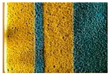 Applsci 14 04799 i003