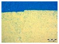 Applsci 14 04799 i004