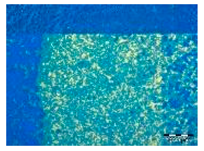 Applsci 14 04799 i005