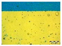 Applsci 14 04799 i007