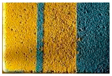 Applsci 14 04799 i009