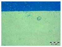 Applsci 14 04799 i010