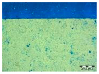 Applsci 14 04799 i011