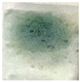 Applsci 14 04799 i018