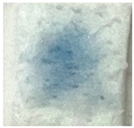 Applsci 14 04799 i019