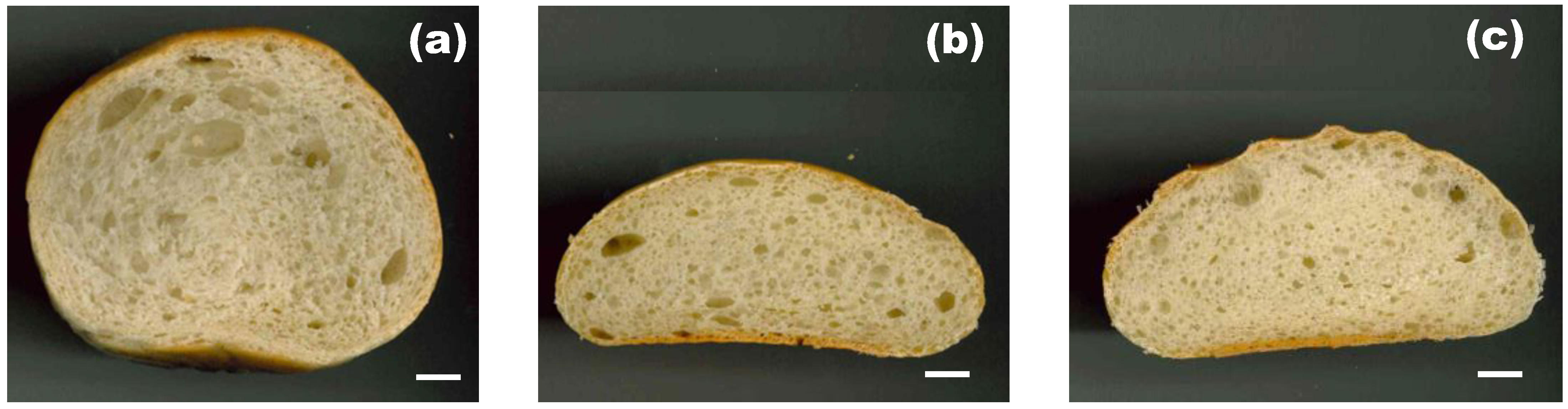 Applsci 14 04831 g004