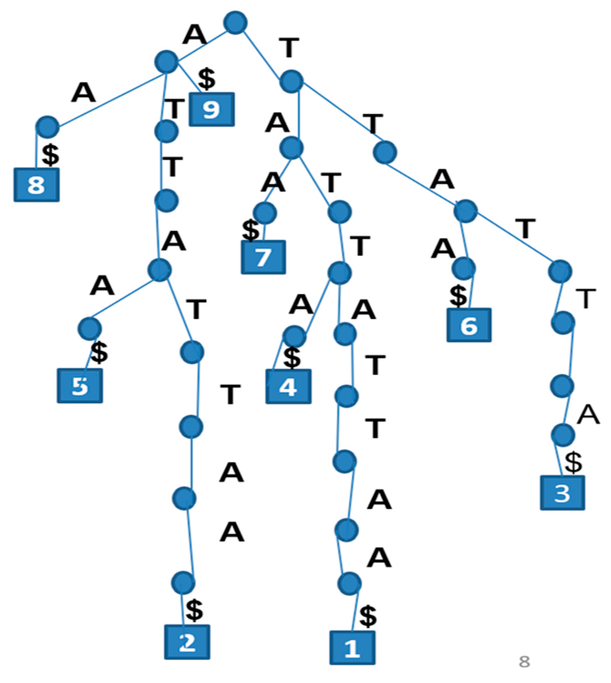 Applsci 14 04837 g001