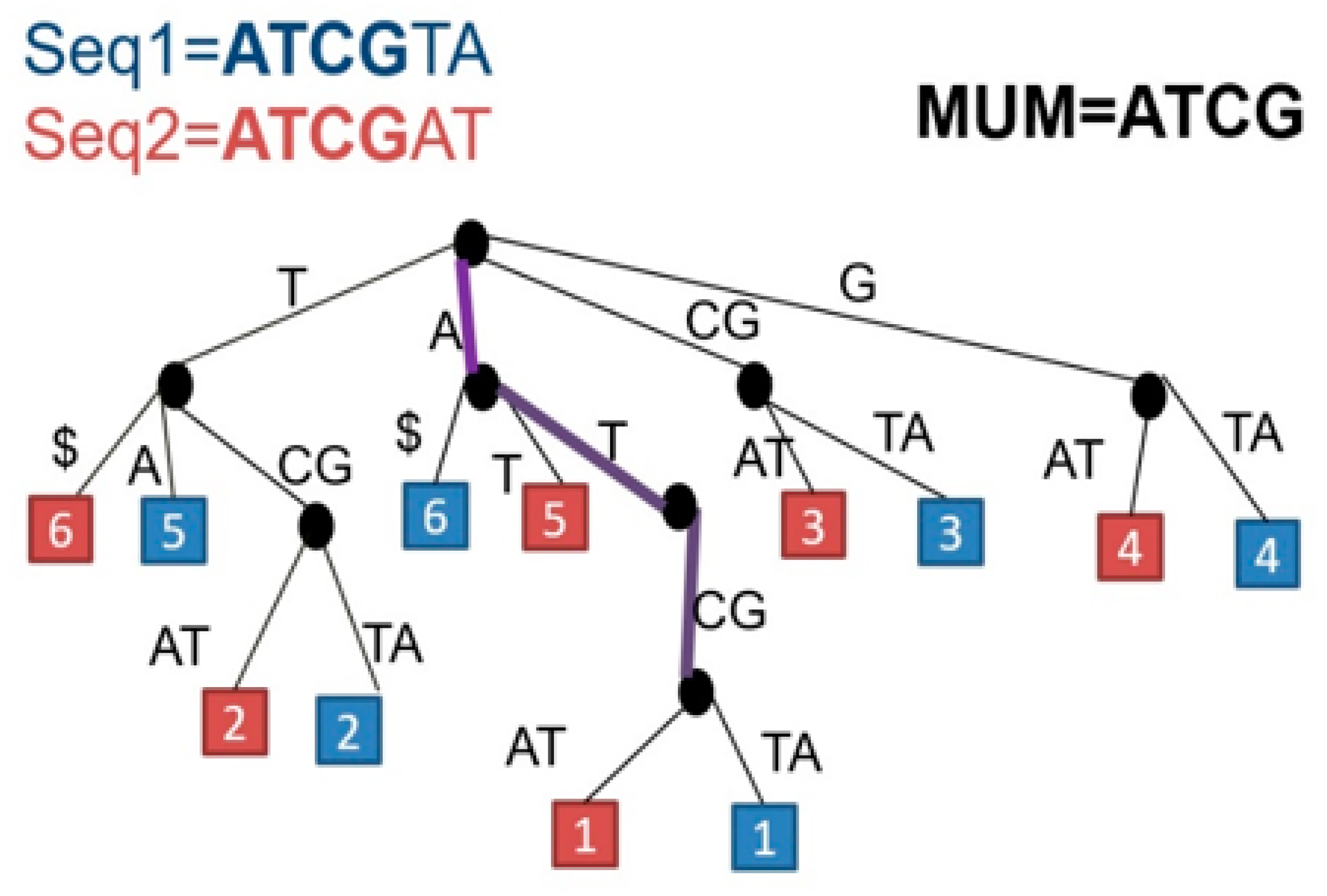 Applsci 14 04837 g002