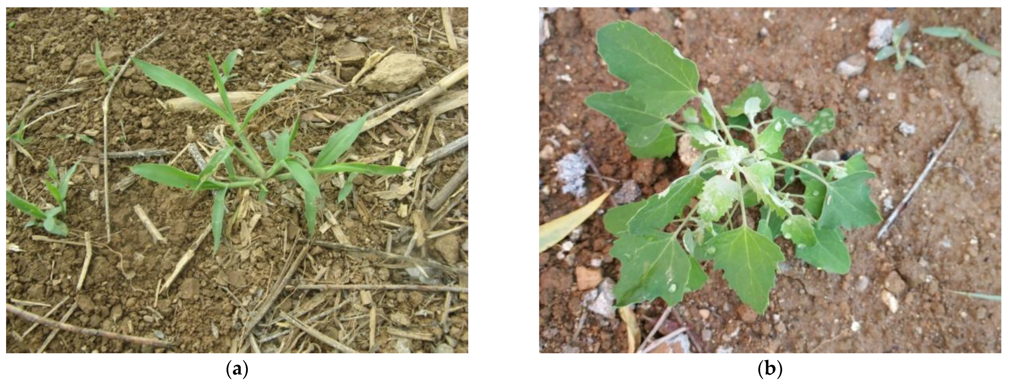 Applsci 14 04839 g001a