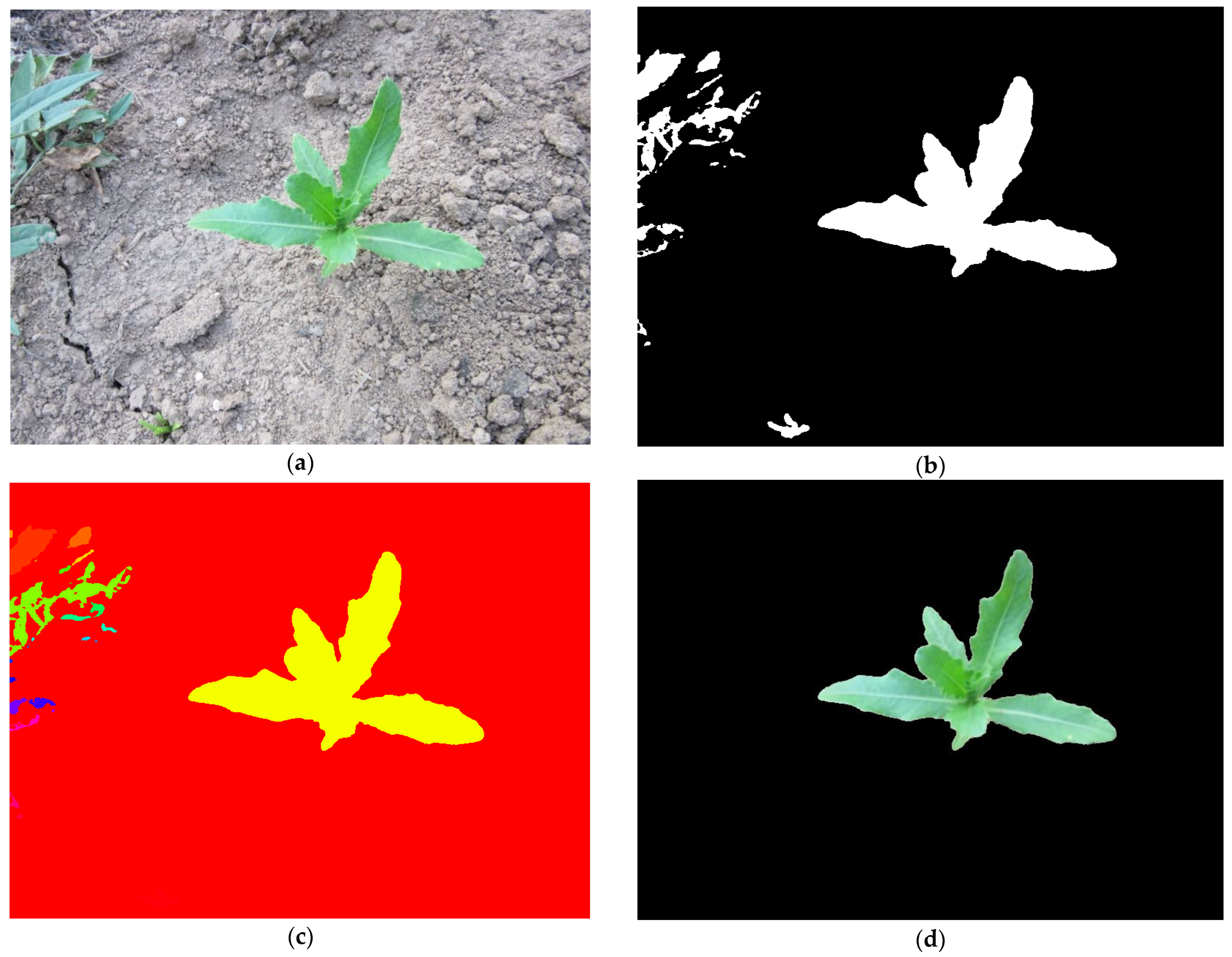 Applsci 14 04839 g002a