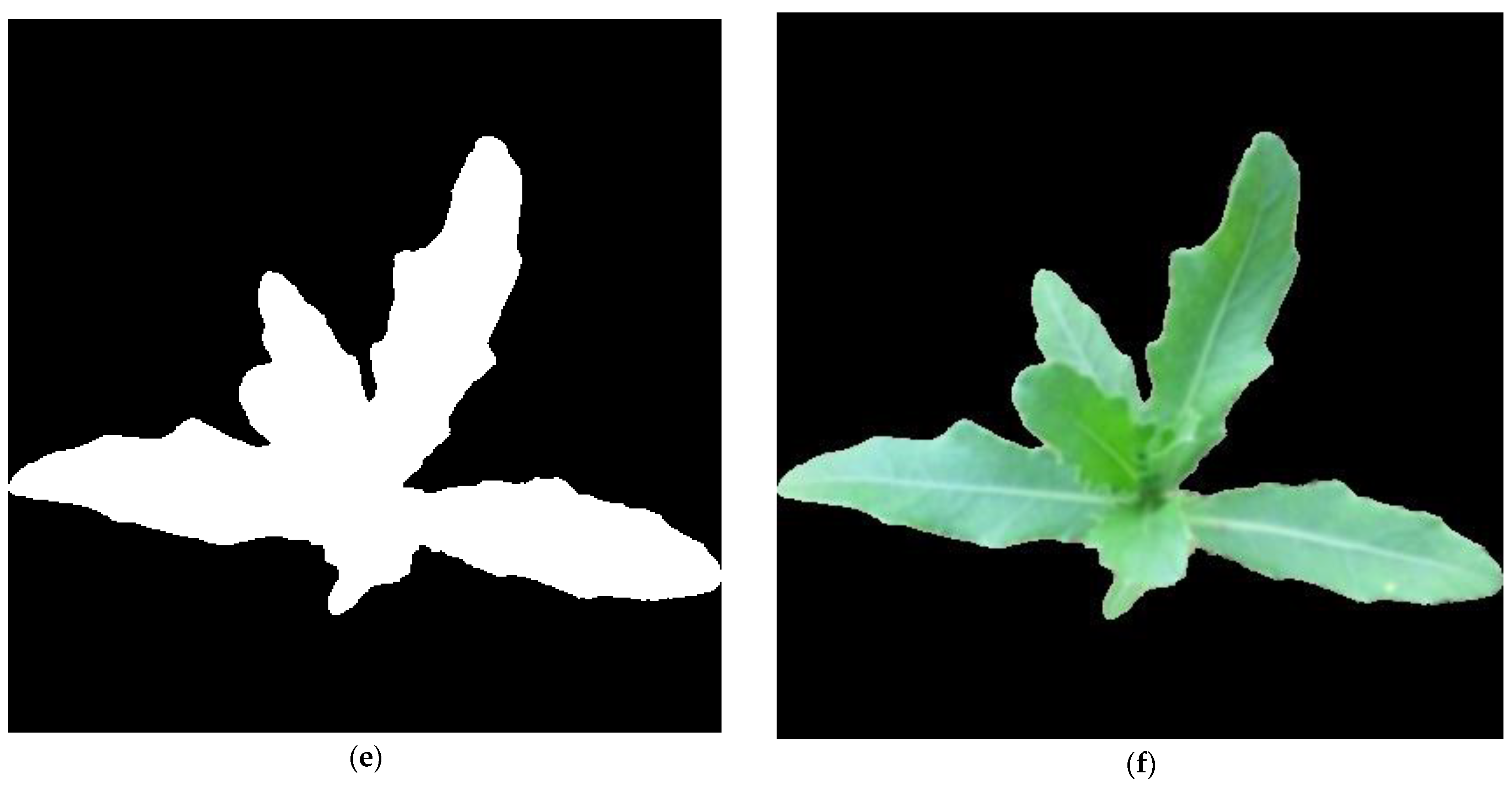 Applsci 14 04839 g002b