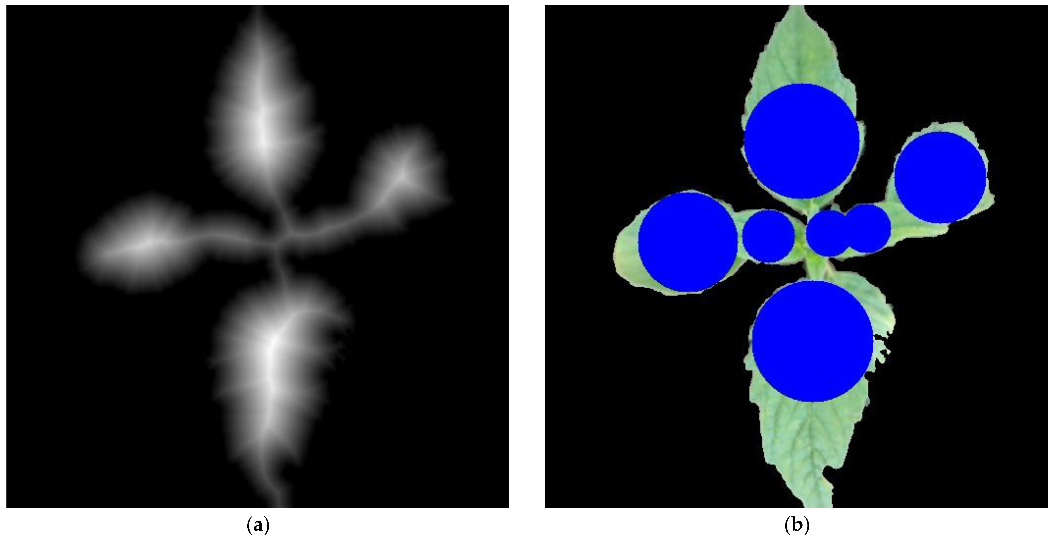 Applsci 14 04839 g005