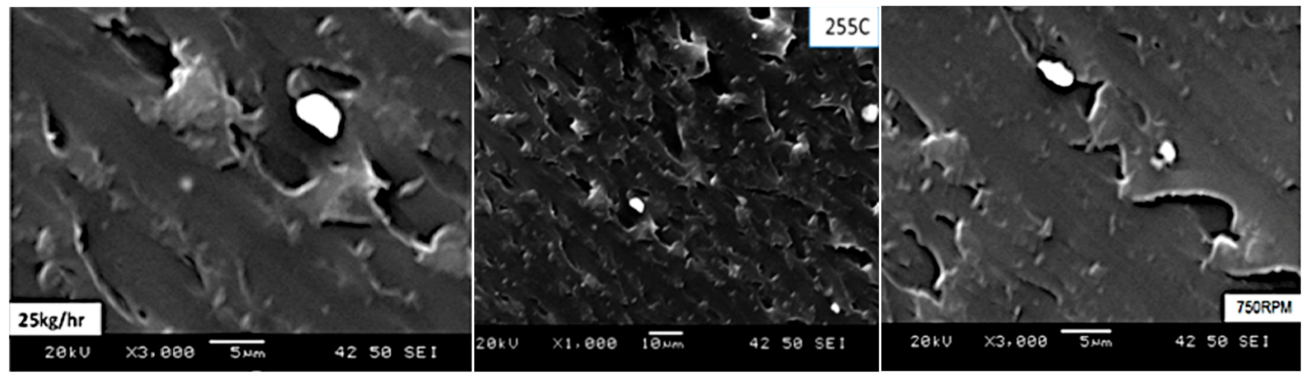 Applsci 14 04848 g006