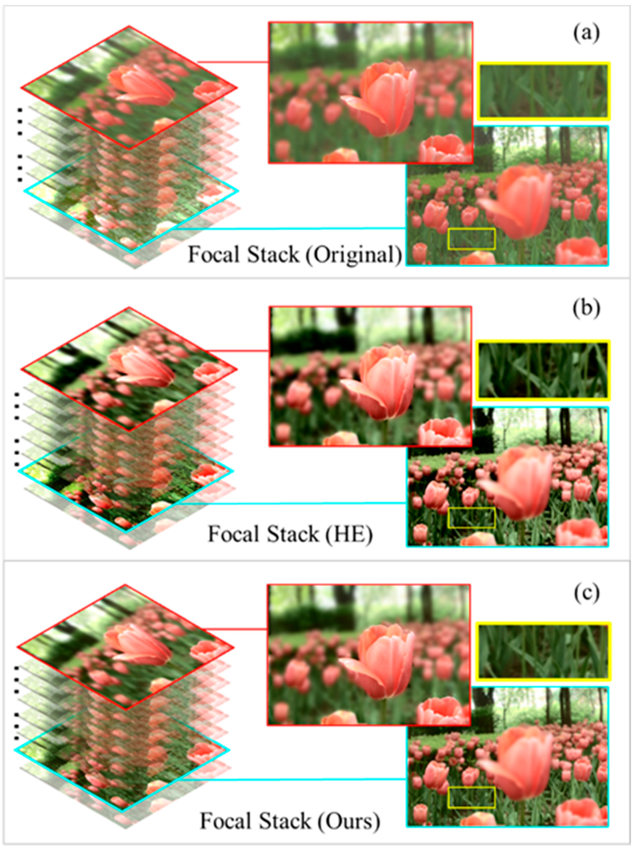 Applsci 14 04885 g001