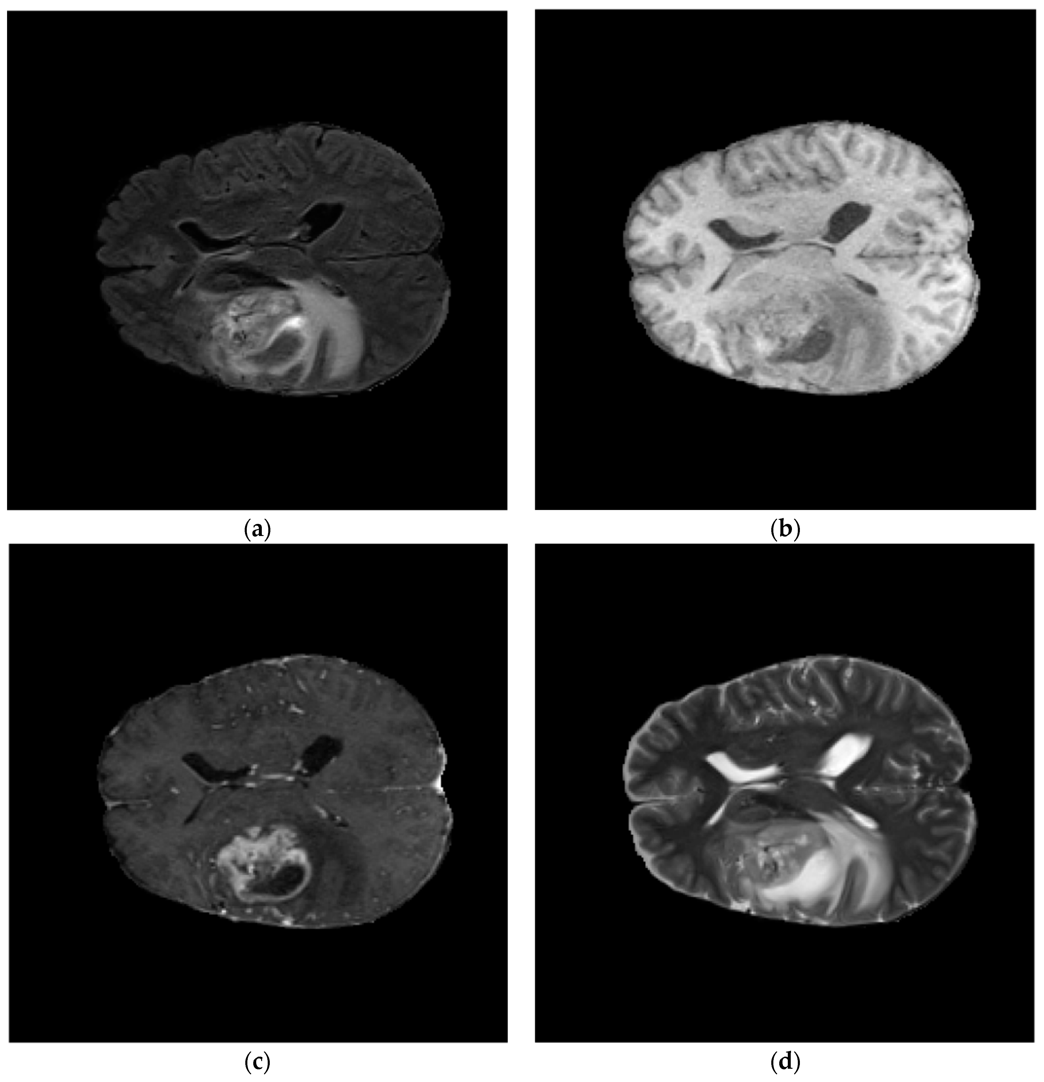 Applsci 14 04919 g006