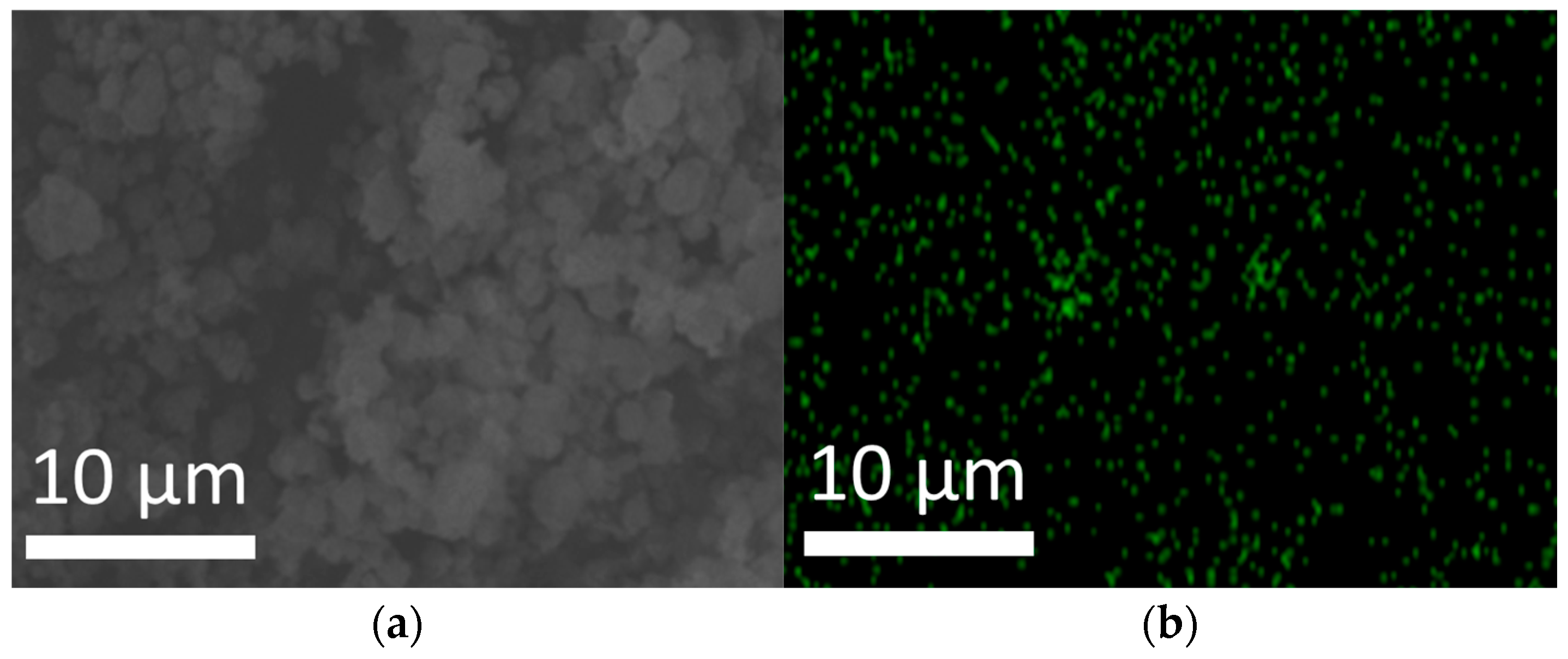 Applsci 14 04959 g011