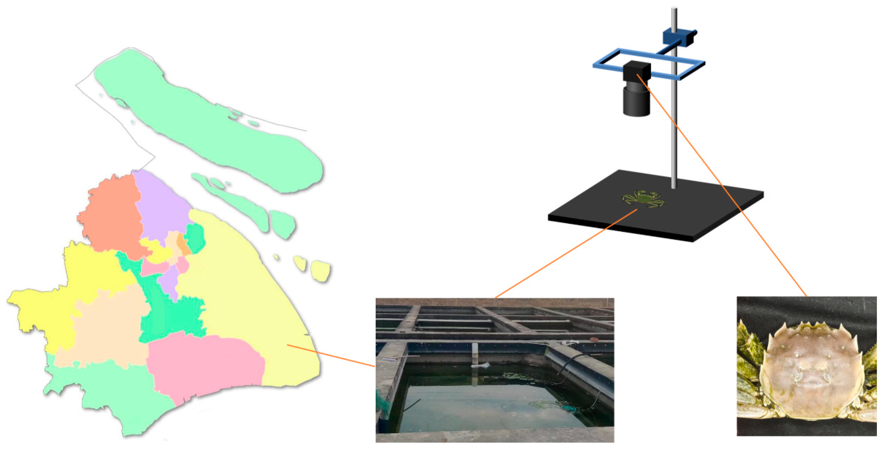 Applsci 14 04982 g001