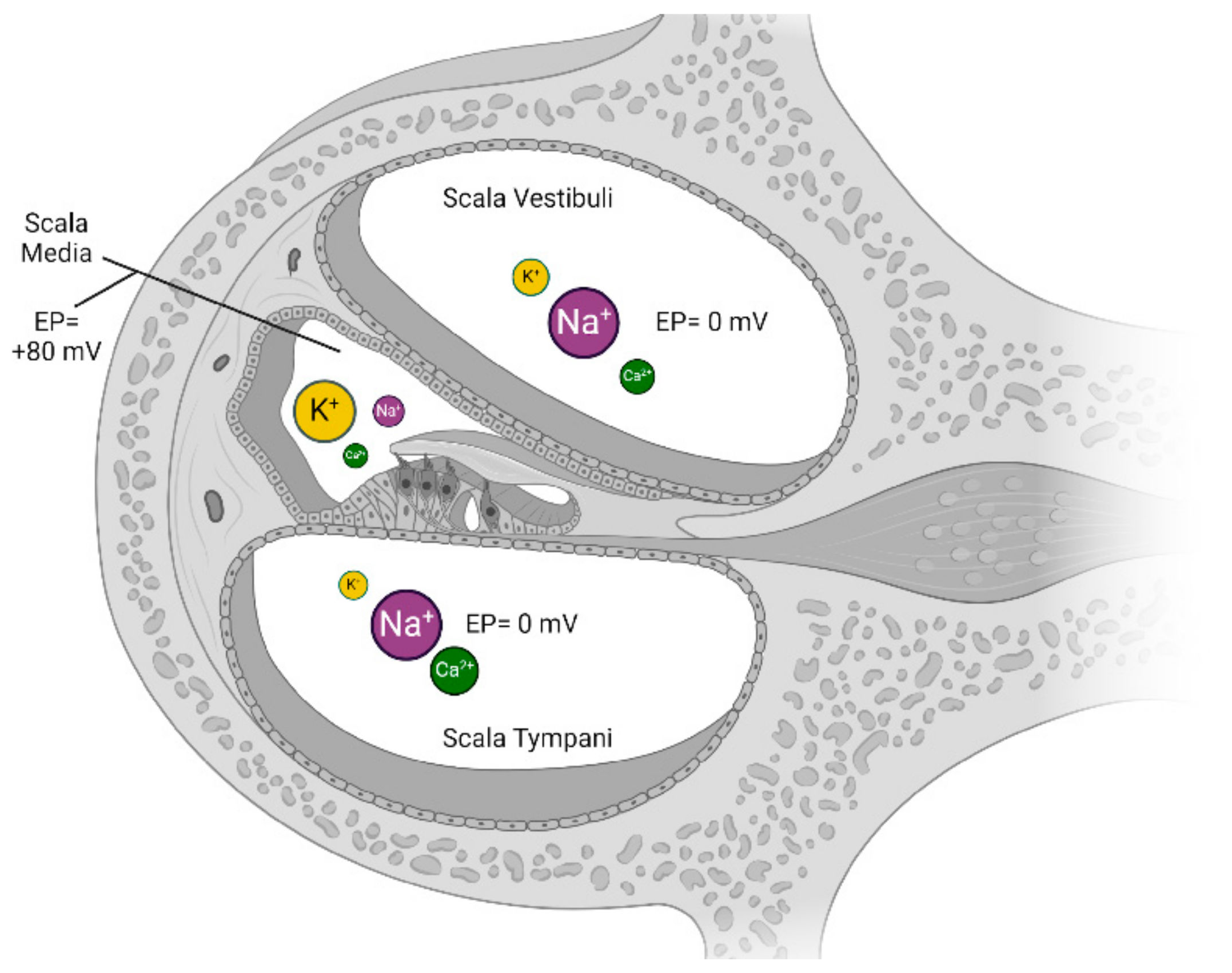 Applsci 14 04985 g001 Applsci 14 04985 g001