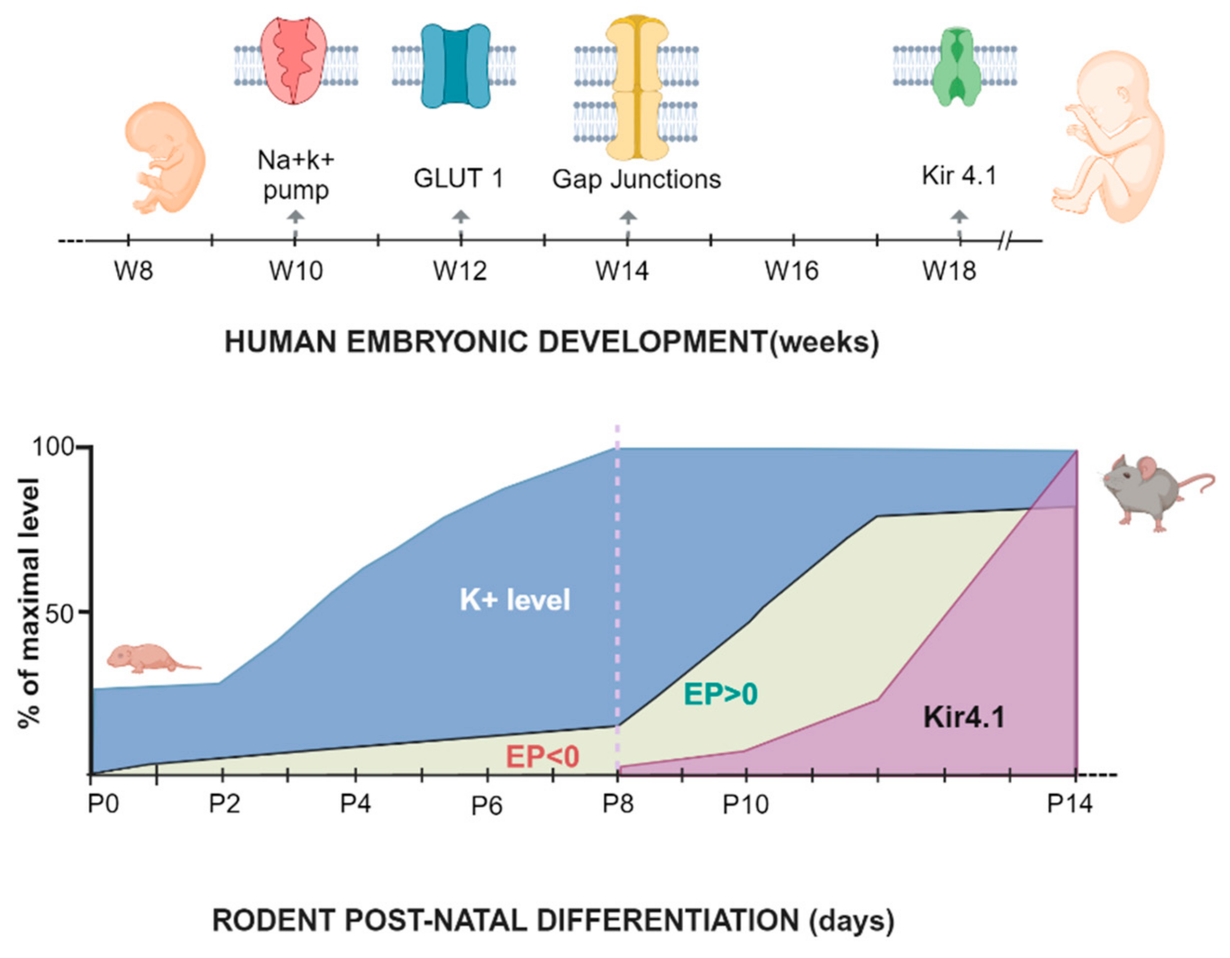 Applsci 14 04985 g003 Applsci 14 04985 g003
