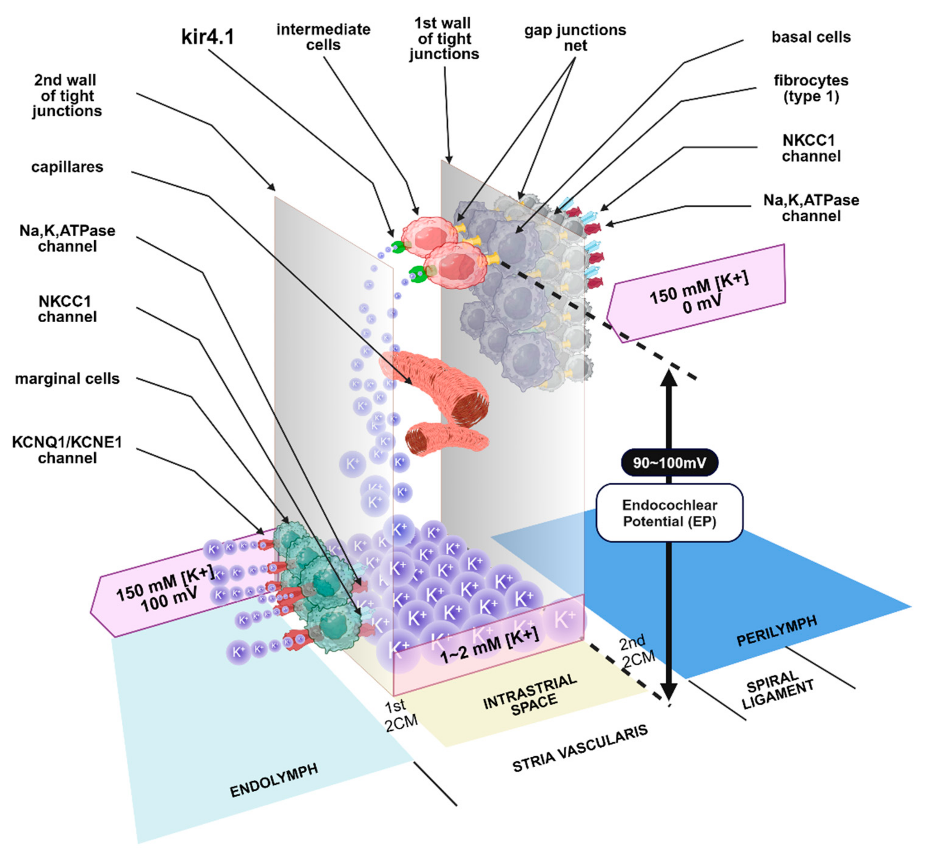 Applsci 14 04985 g004 Applsci 14 04985 g004