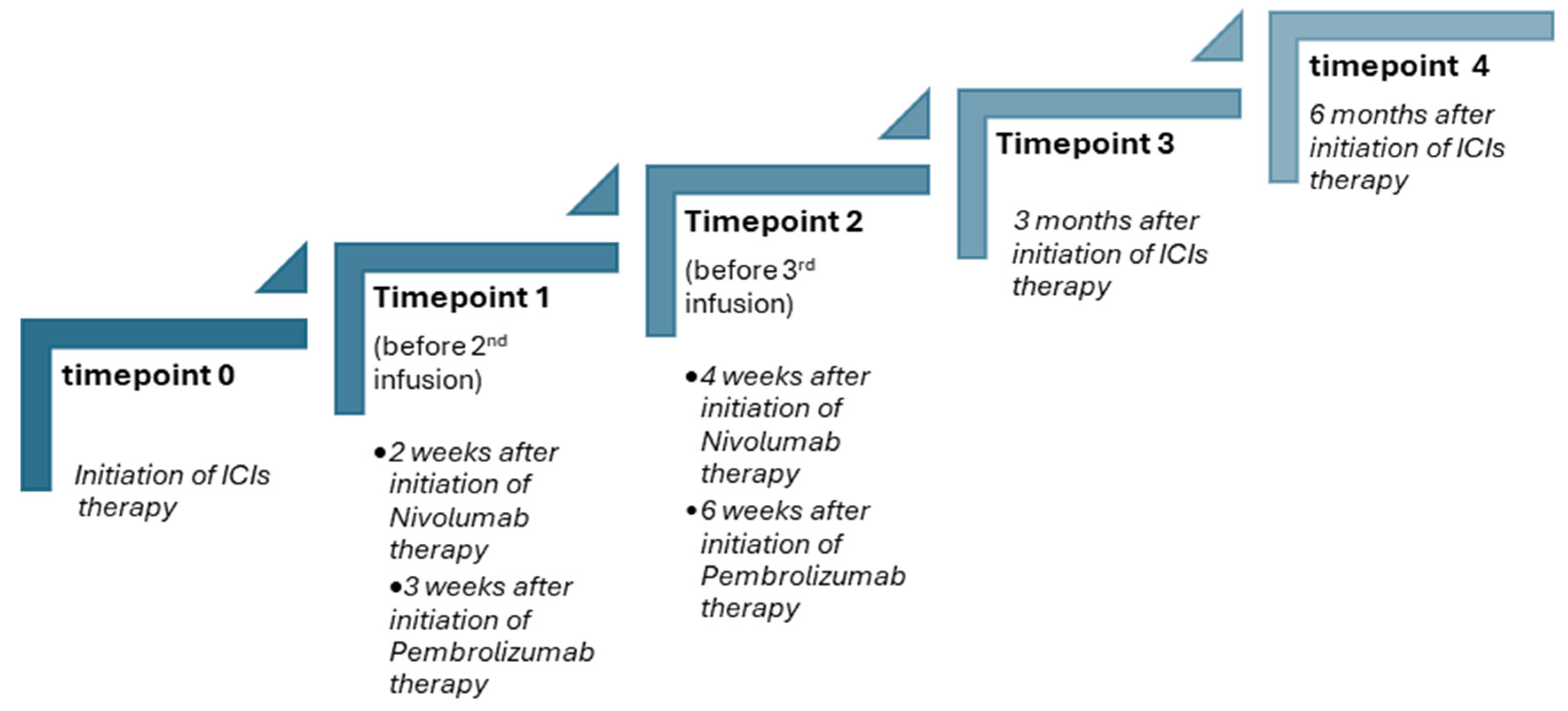 Applsci 14 04990 g001