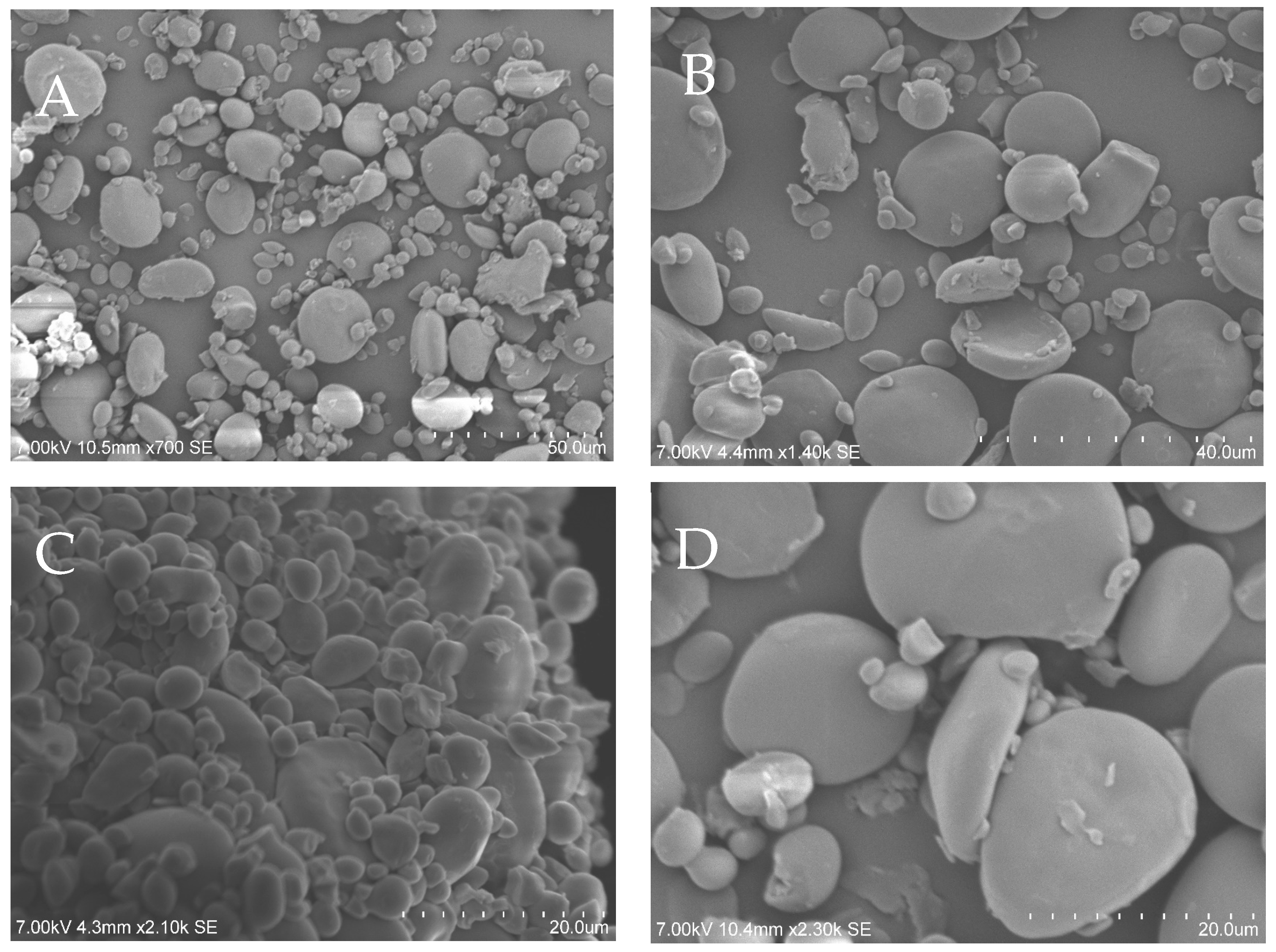 Applsci 14 04999 g001