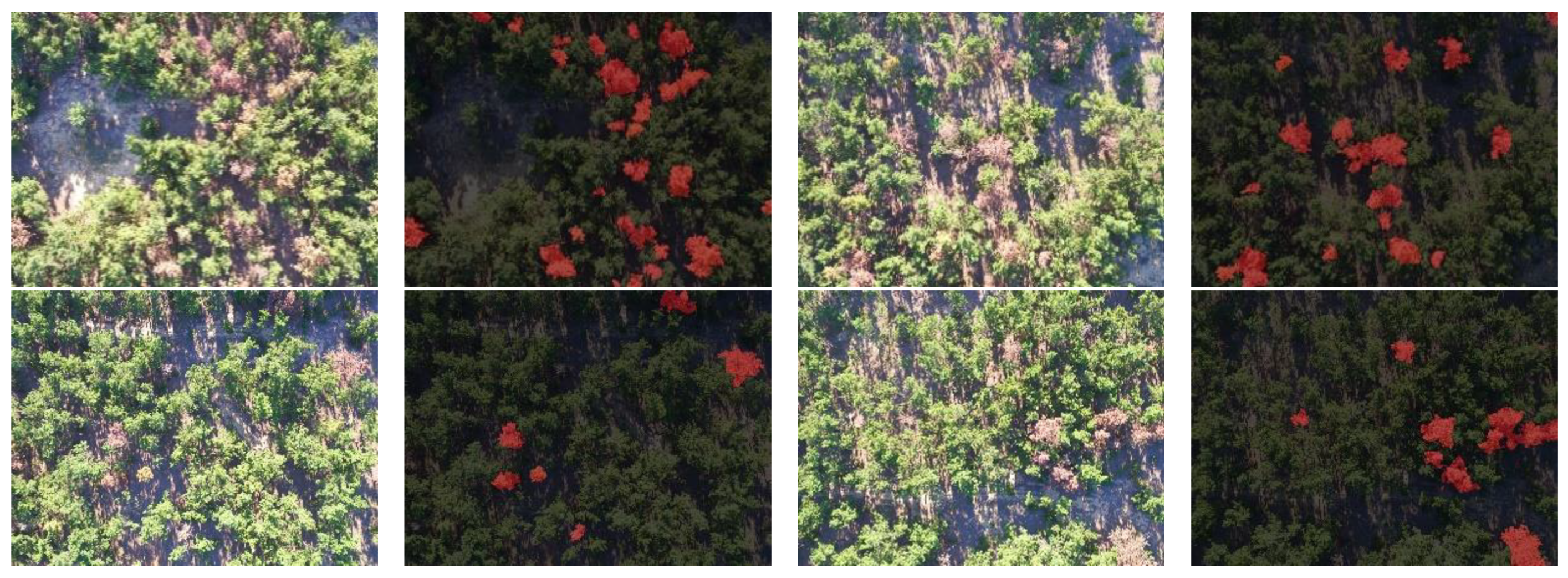 Applsci 14 05087 g007a