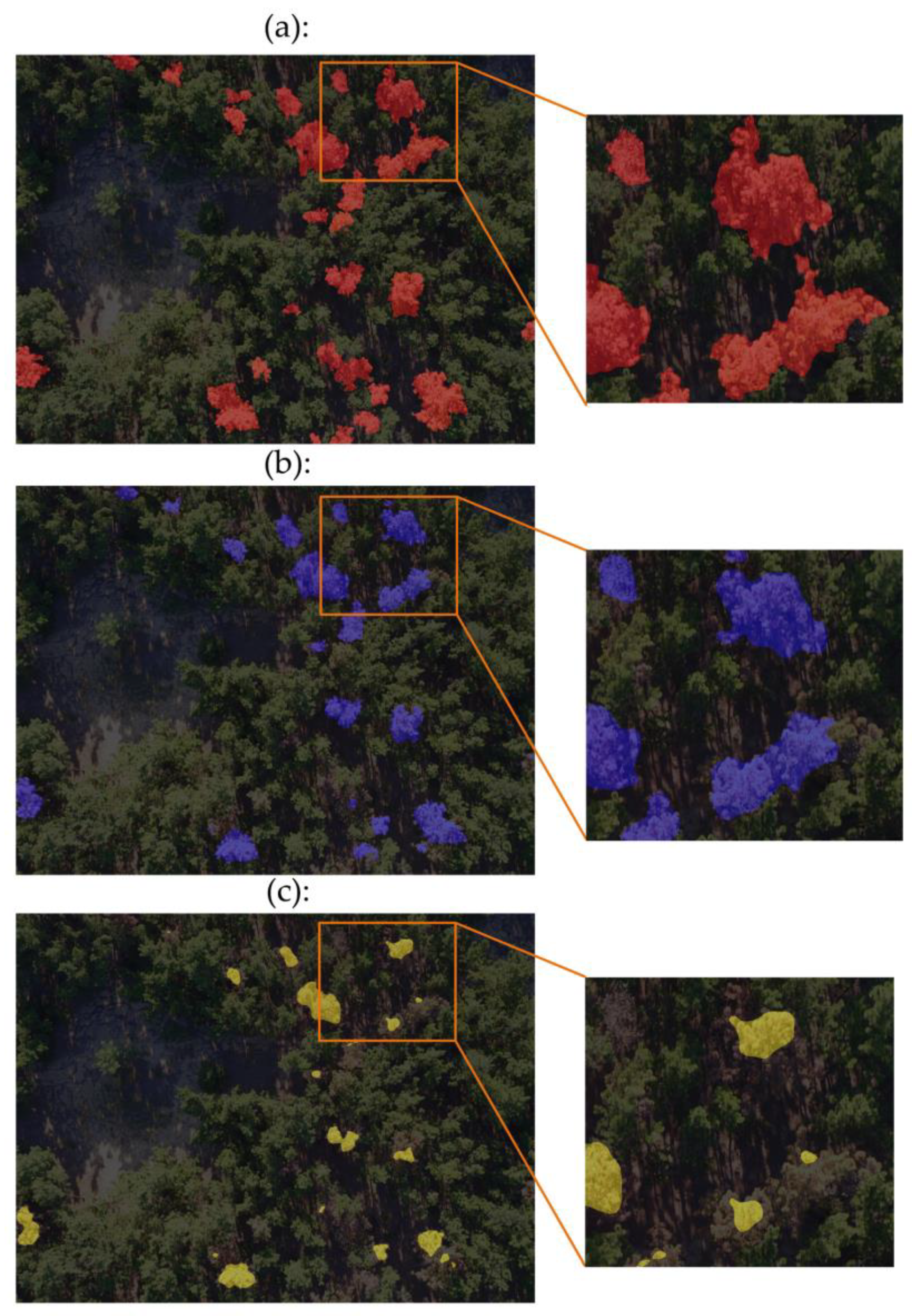 Applsci 14 05087 g008