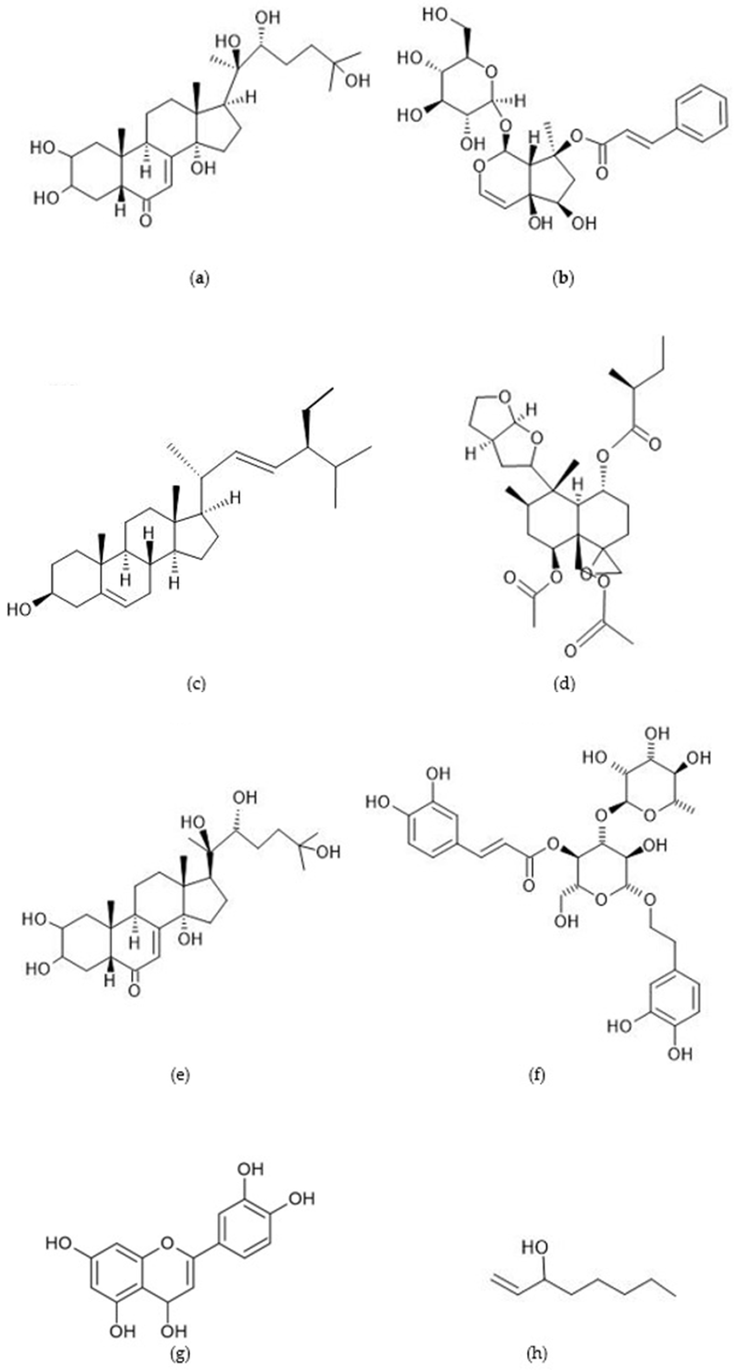 Applsci 14 05105 g001
