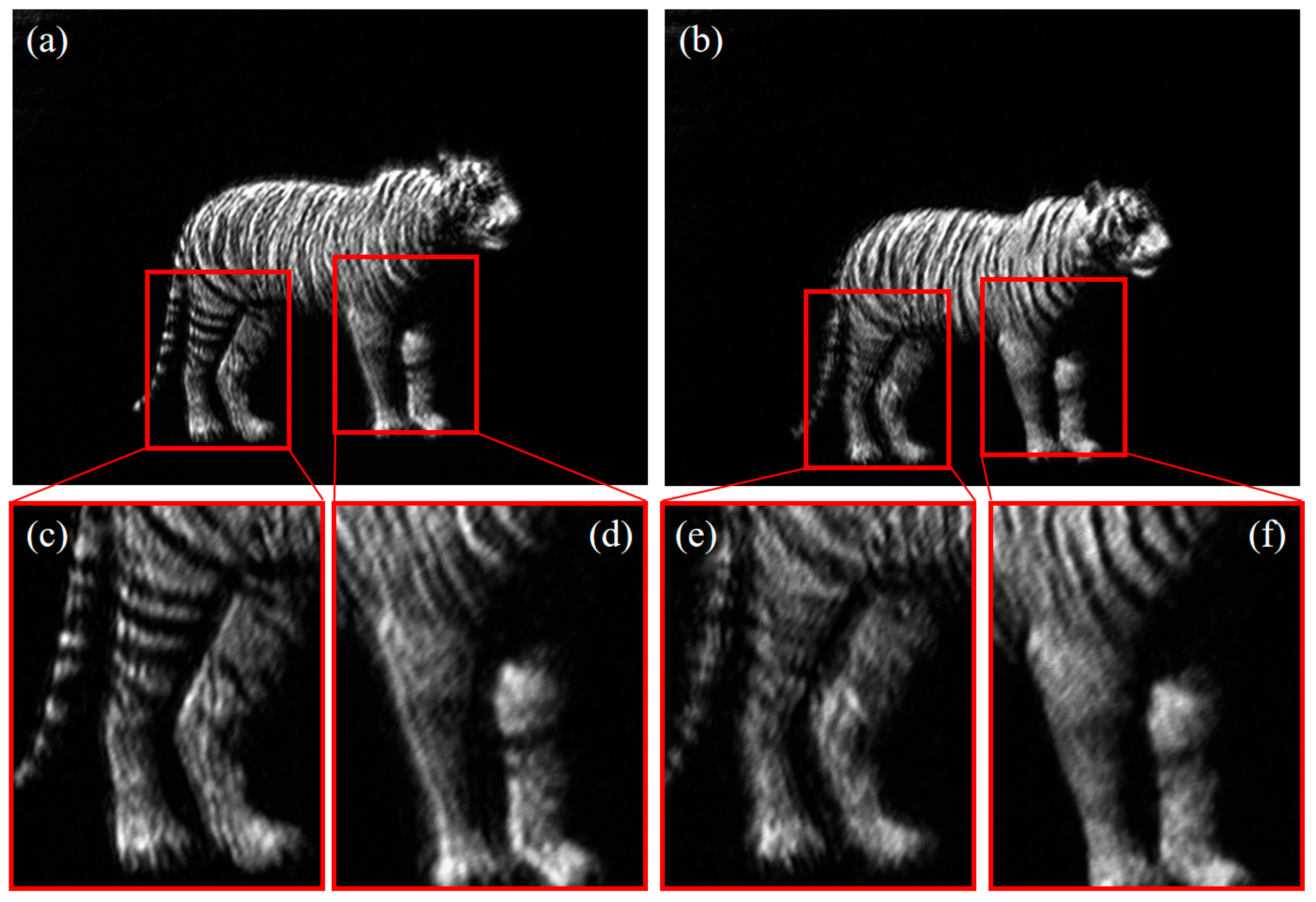 Applsci 14 05109 g013