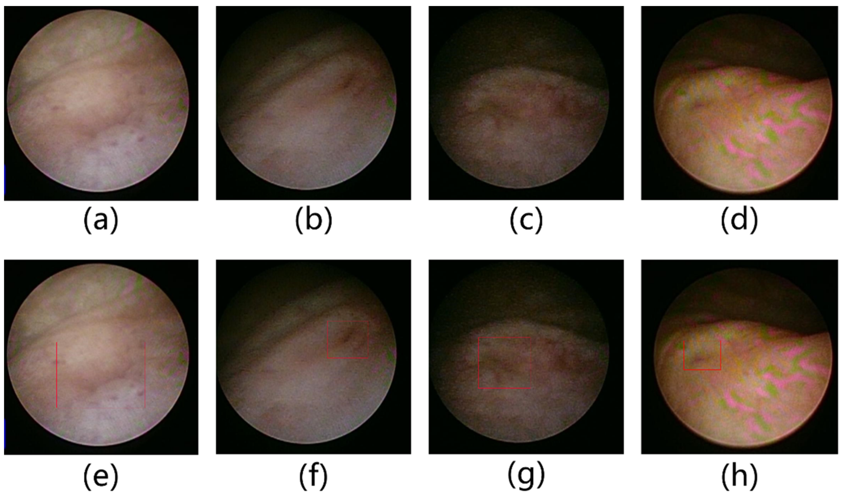 Applsci 14 05124 g001