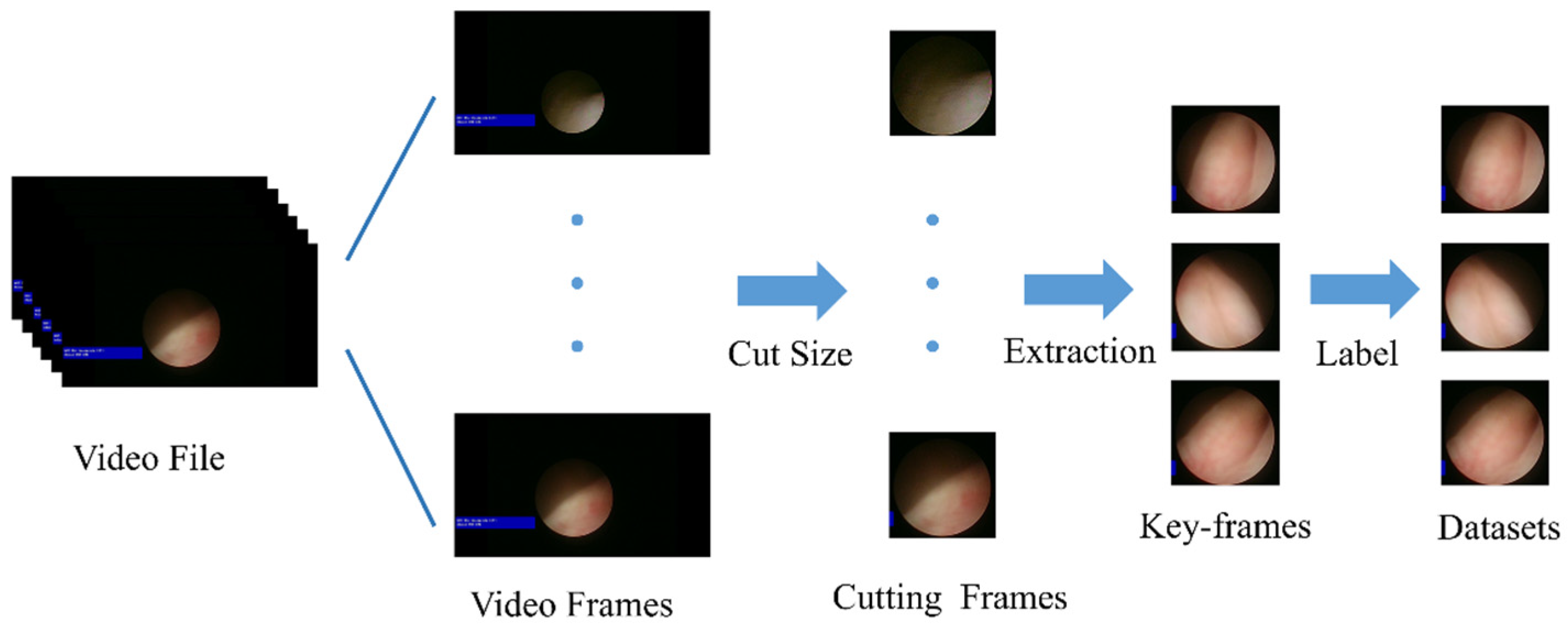 Applsci 14 05124 g002