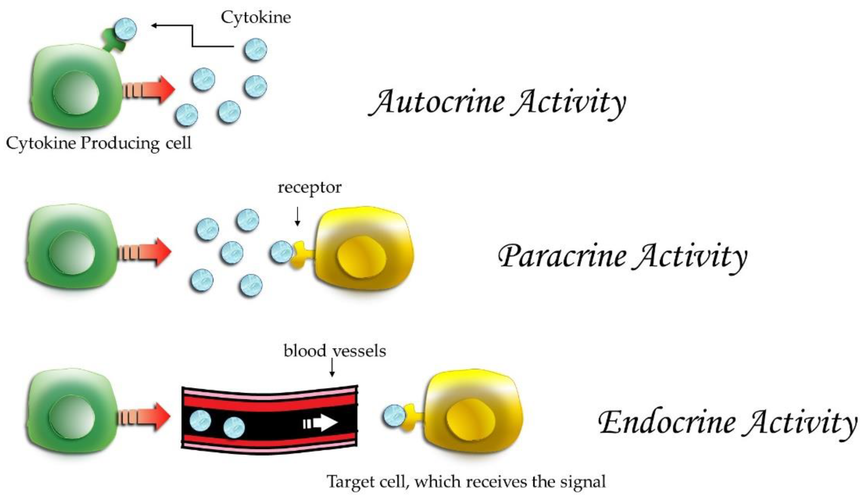 Applsci 14 05133 g001