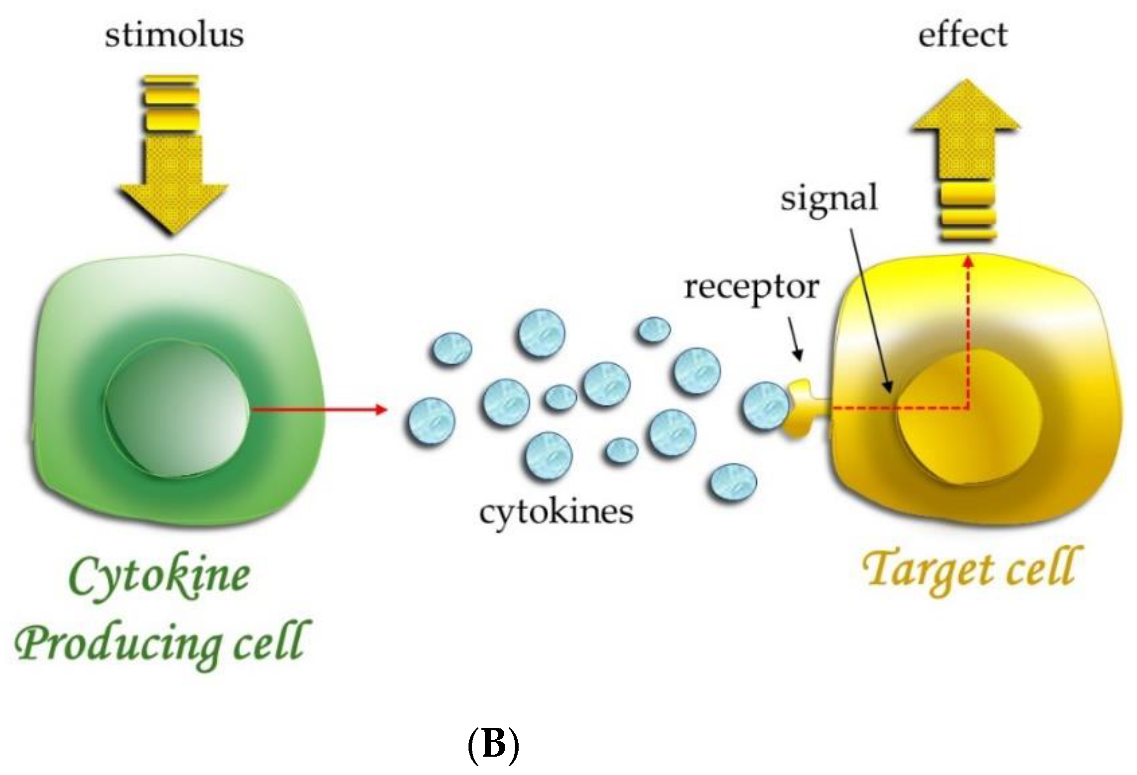 Applsci 14 05133 g002b