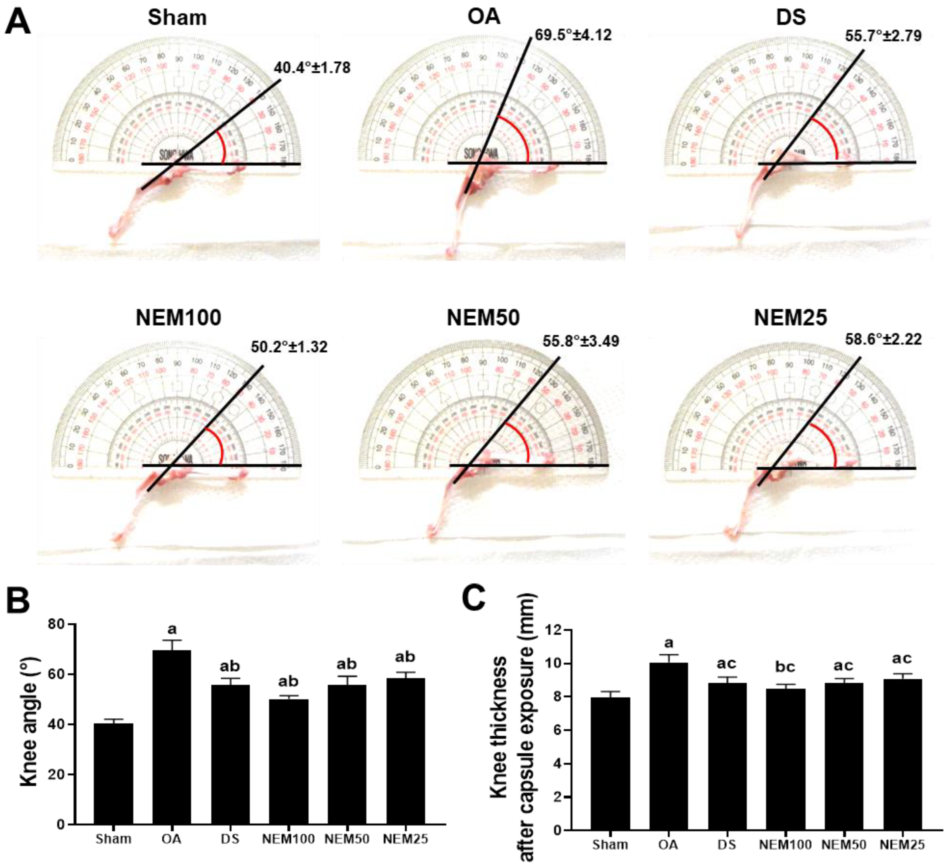 Applsci 14 05176 g003