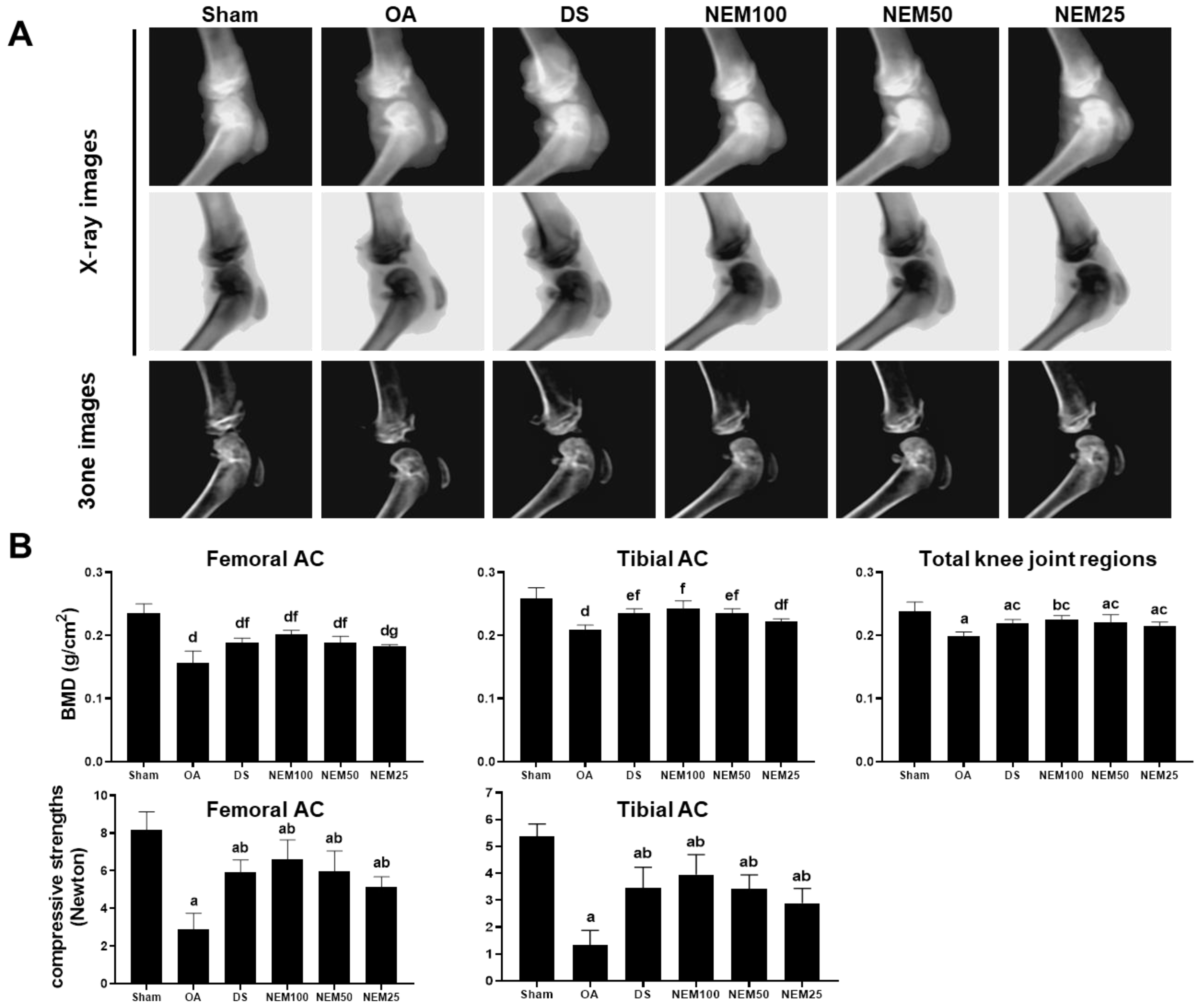 Applsci 14 05176 g004