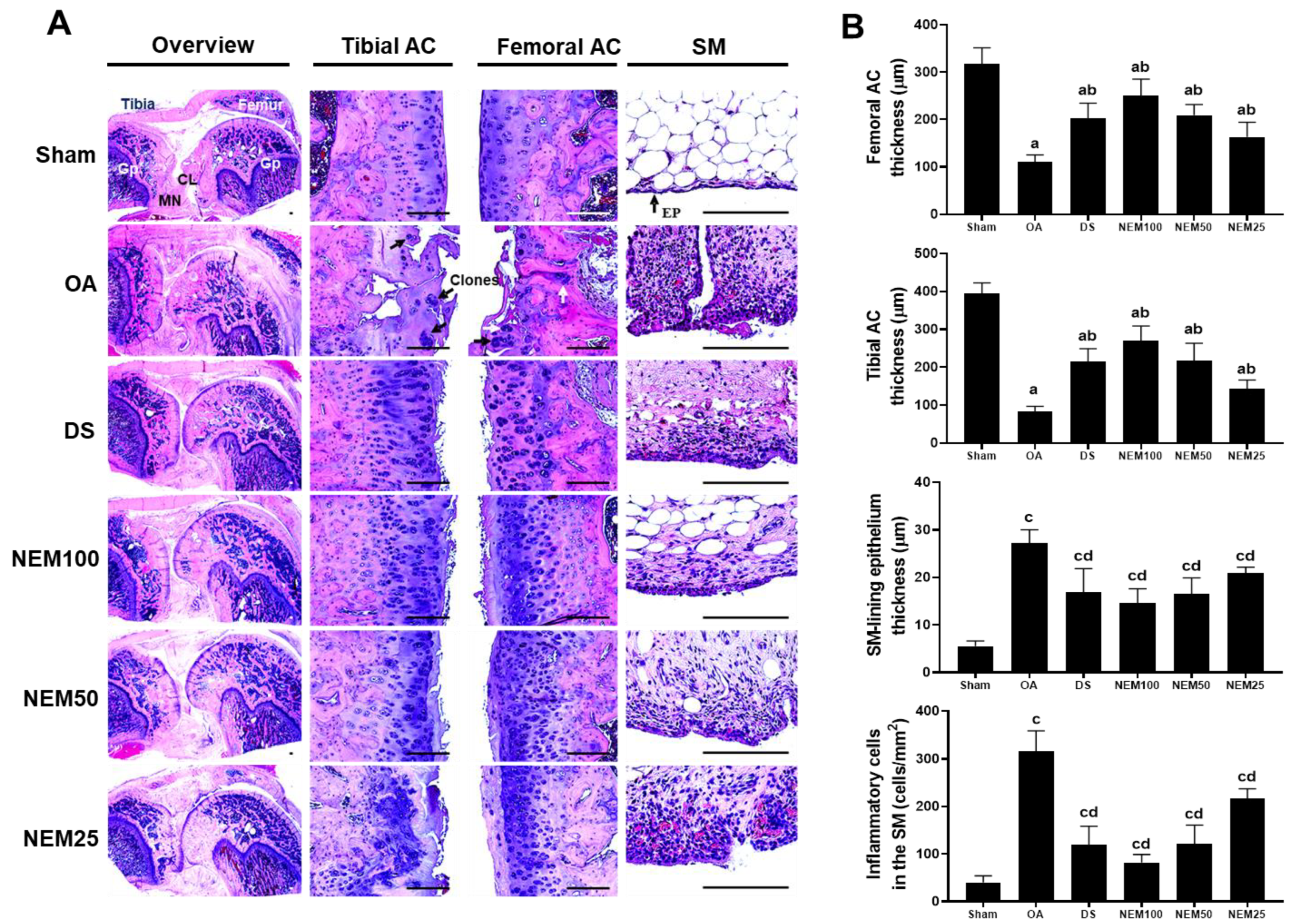 Applsci 14 05176 g007