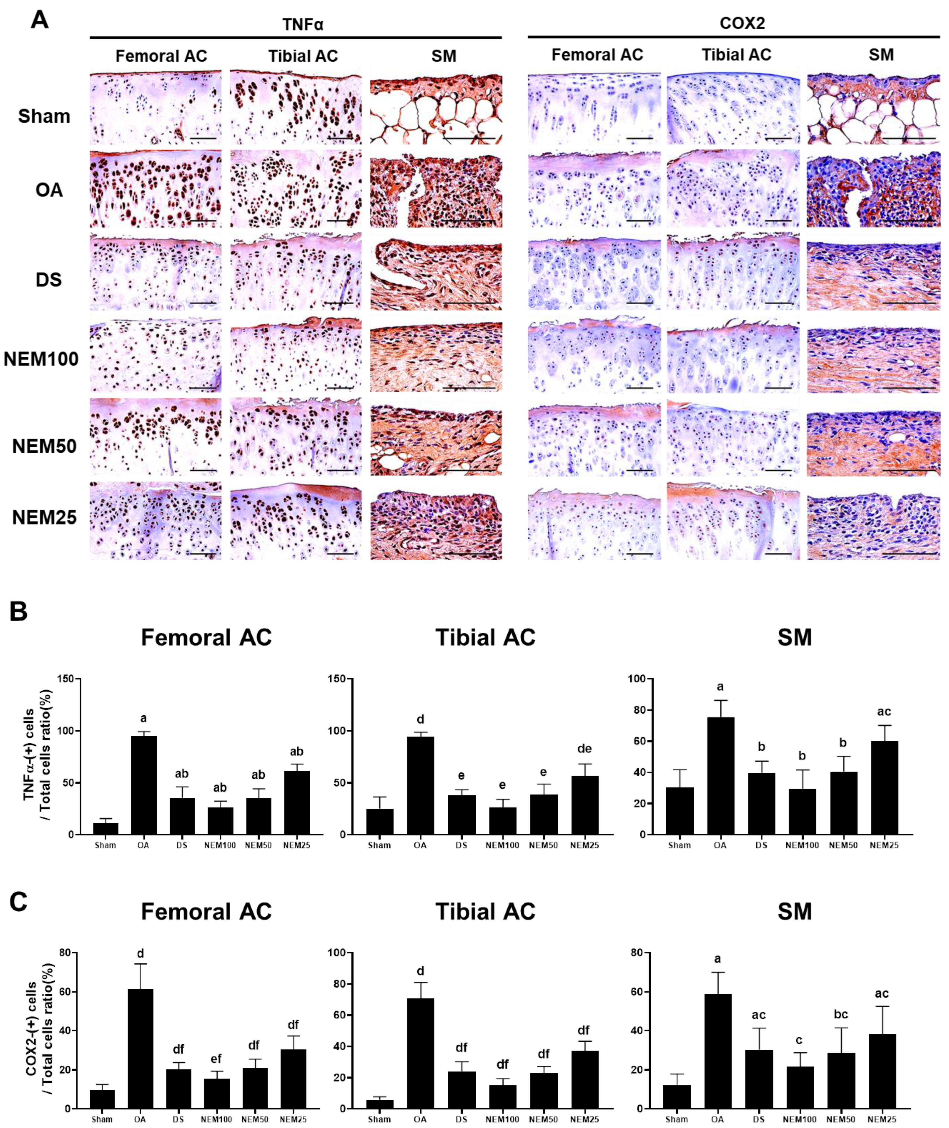 Applsci 14 05176 g009