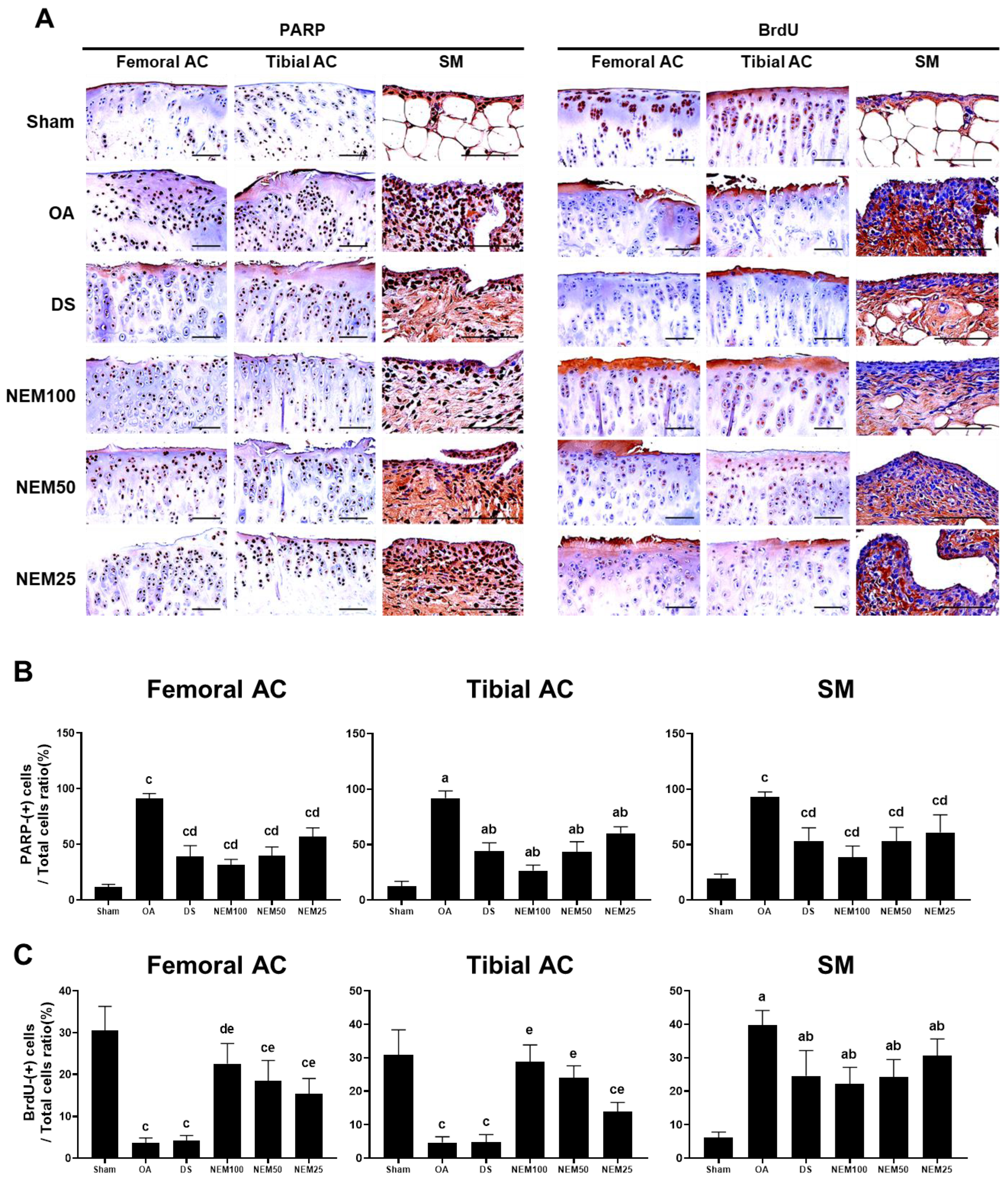 Applsci 14 05176 g010