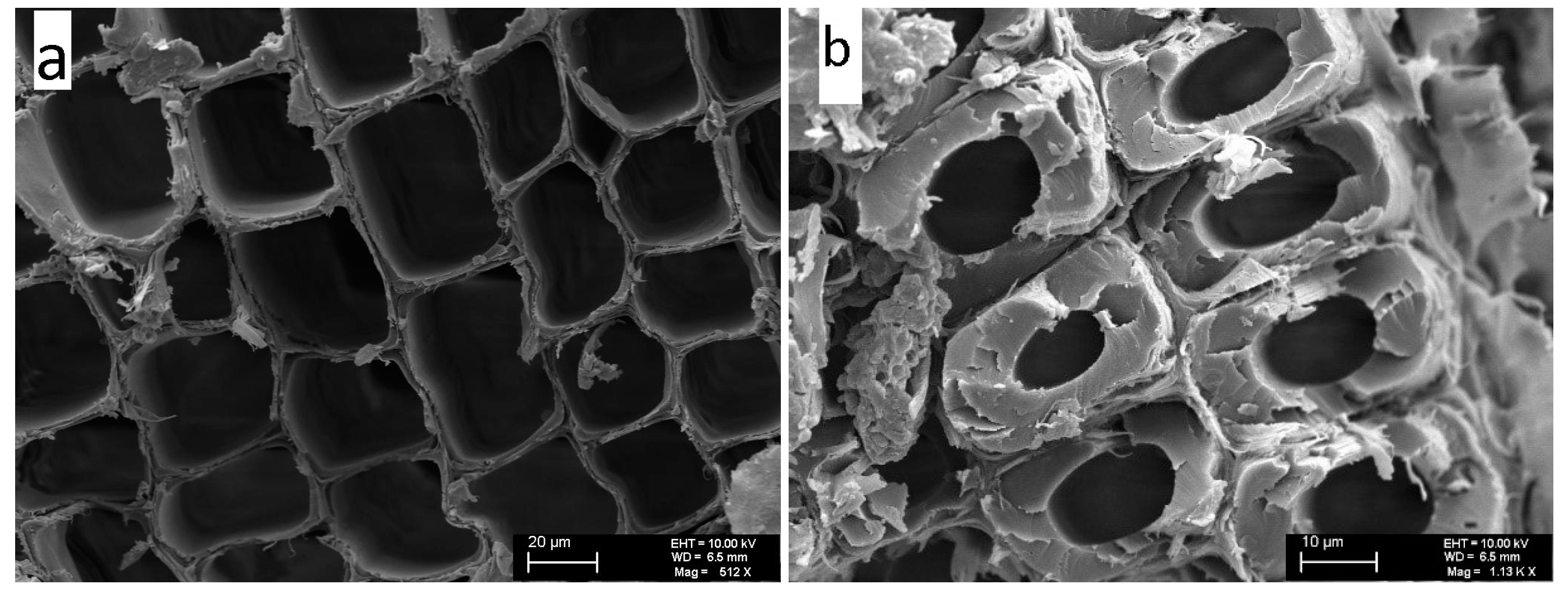 Applsci 14 05179 g004