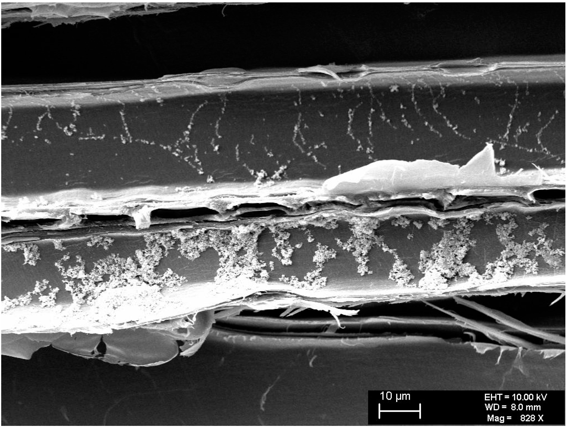 Applsci 14 05179 g006