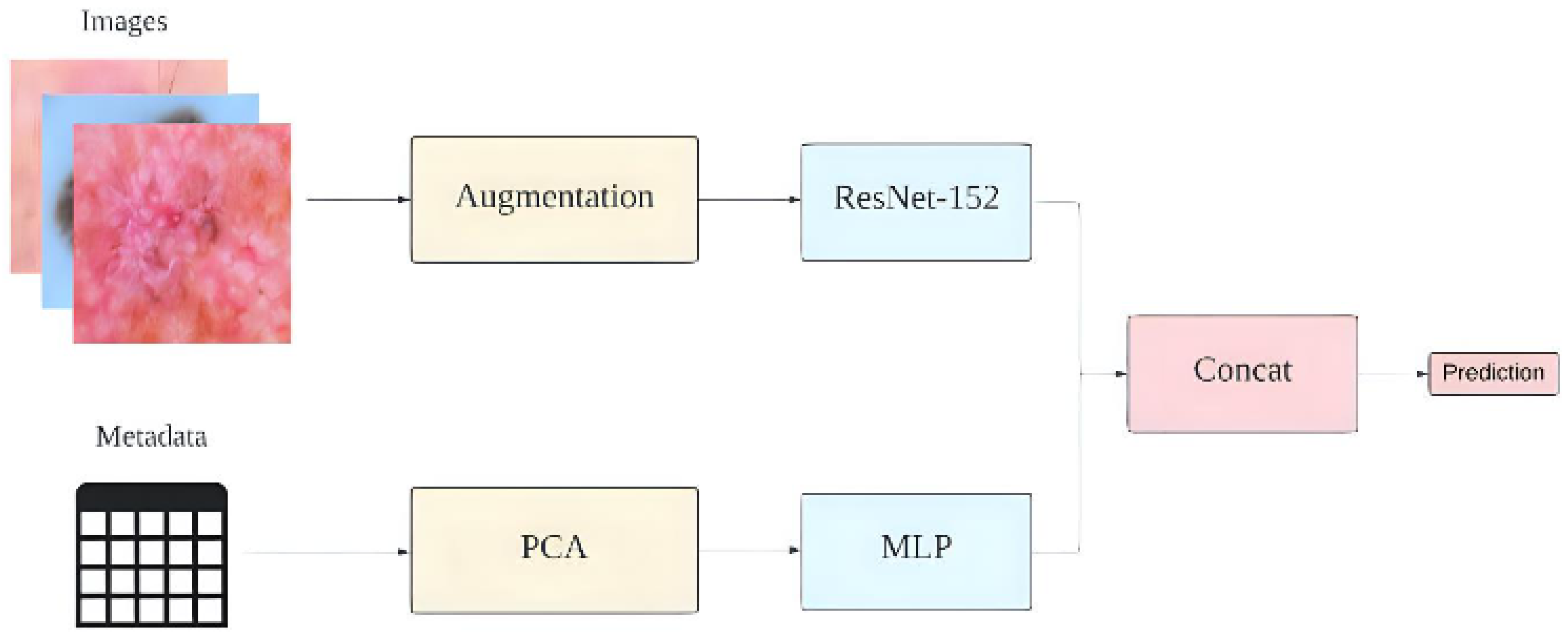 Applsci 14 05233 g004 Applsci 14 05233 g004