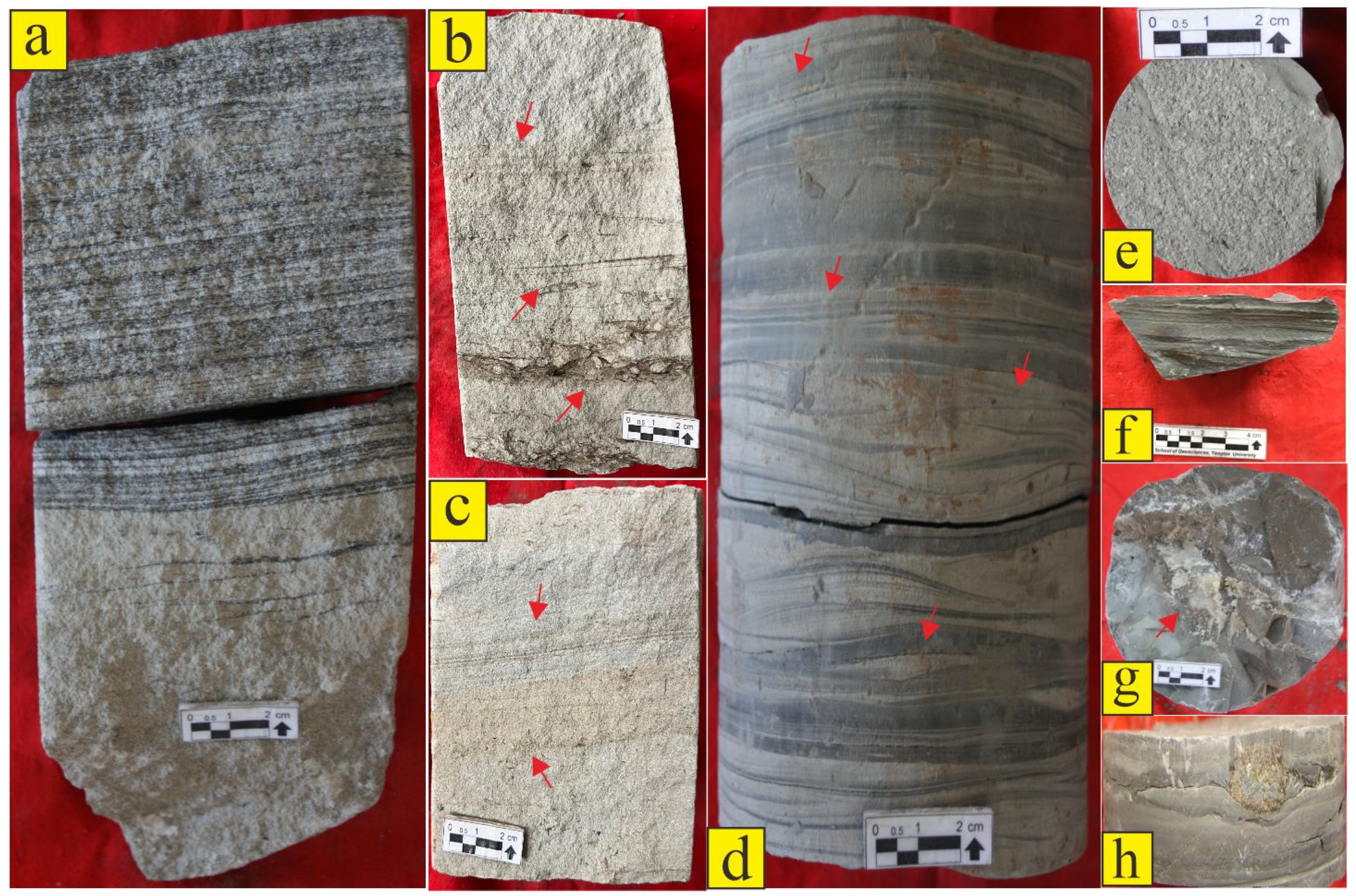 Applsci 14 05269 g002