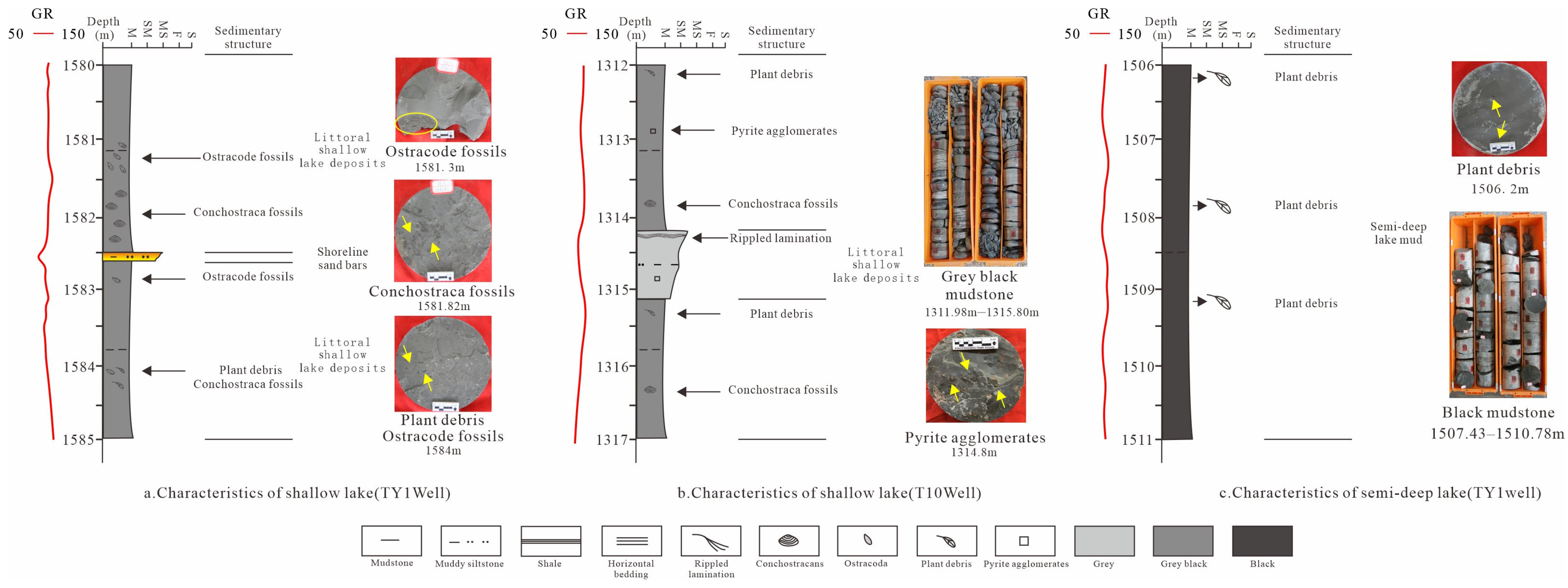 Applsci 14 05269 g005