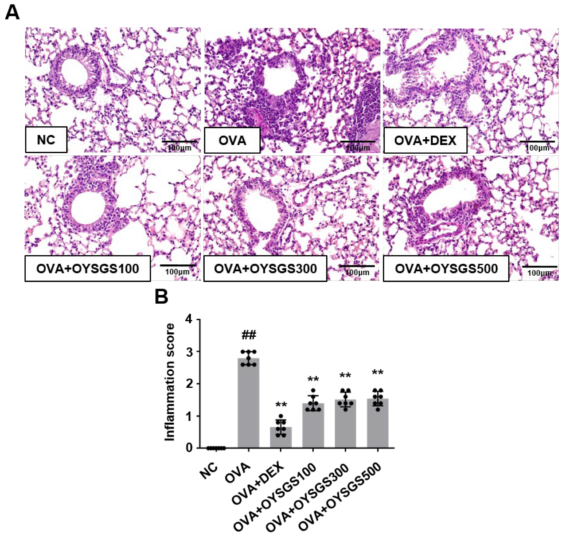 Applsci 14 05280 g002